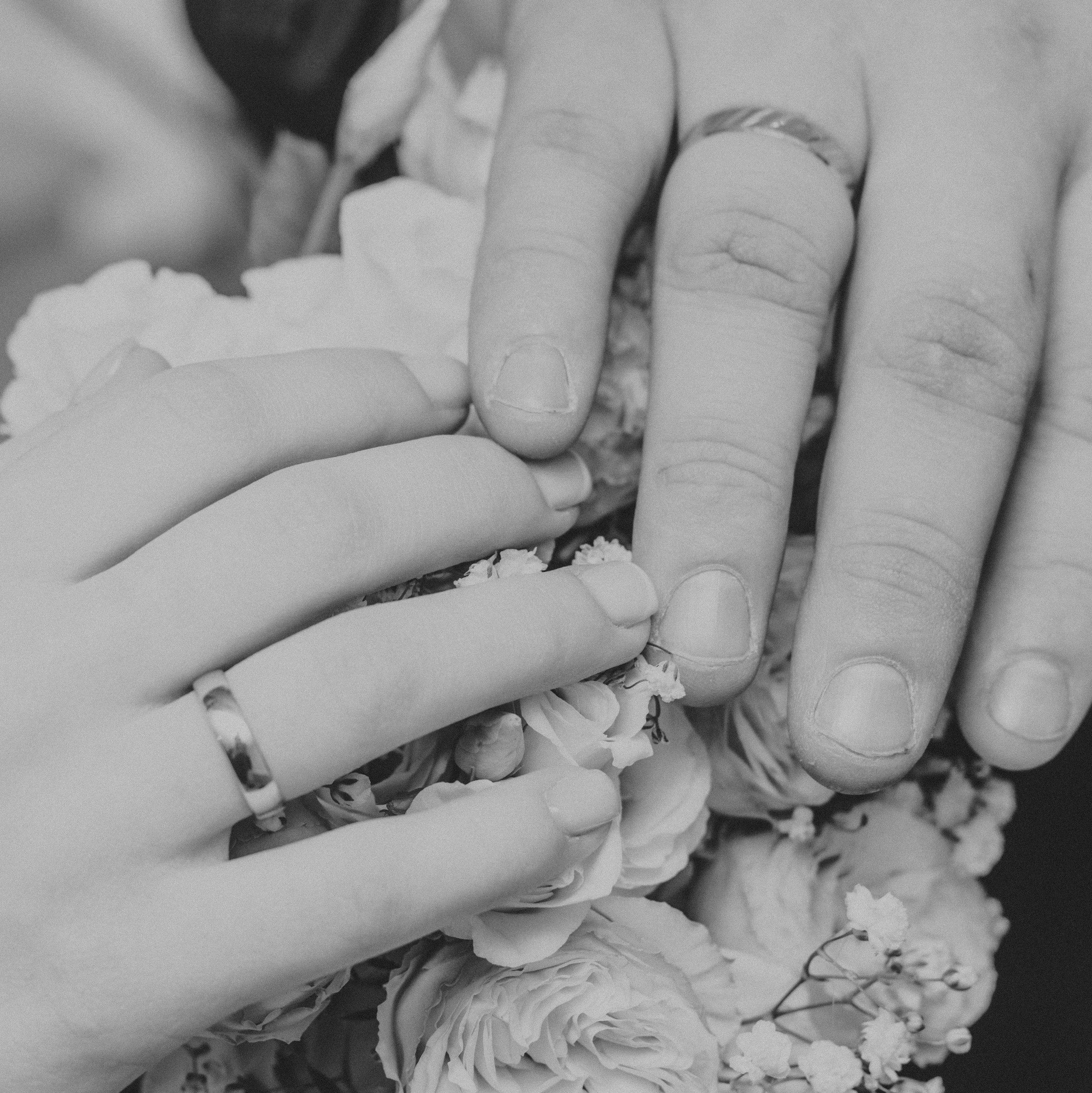 Услуги. Михаил Кругов | Фотограф