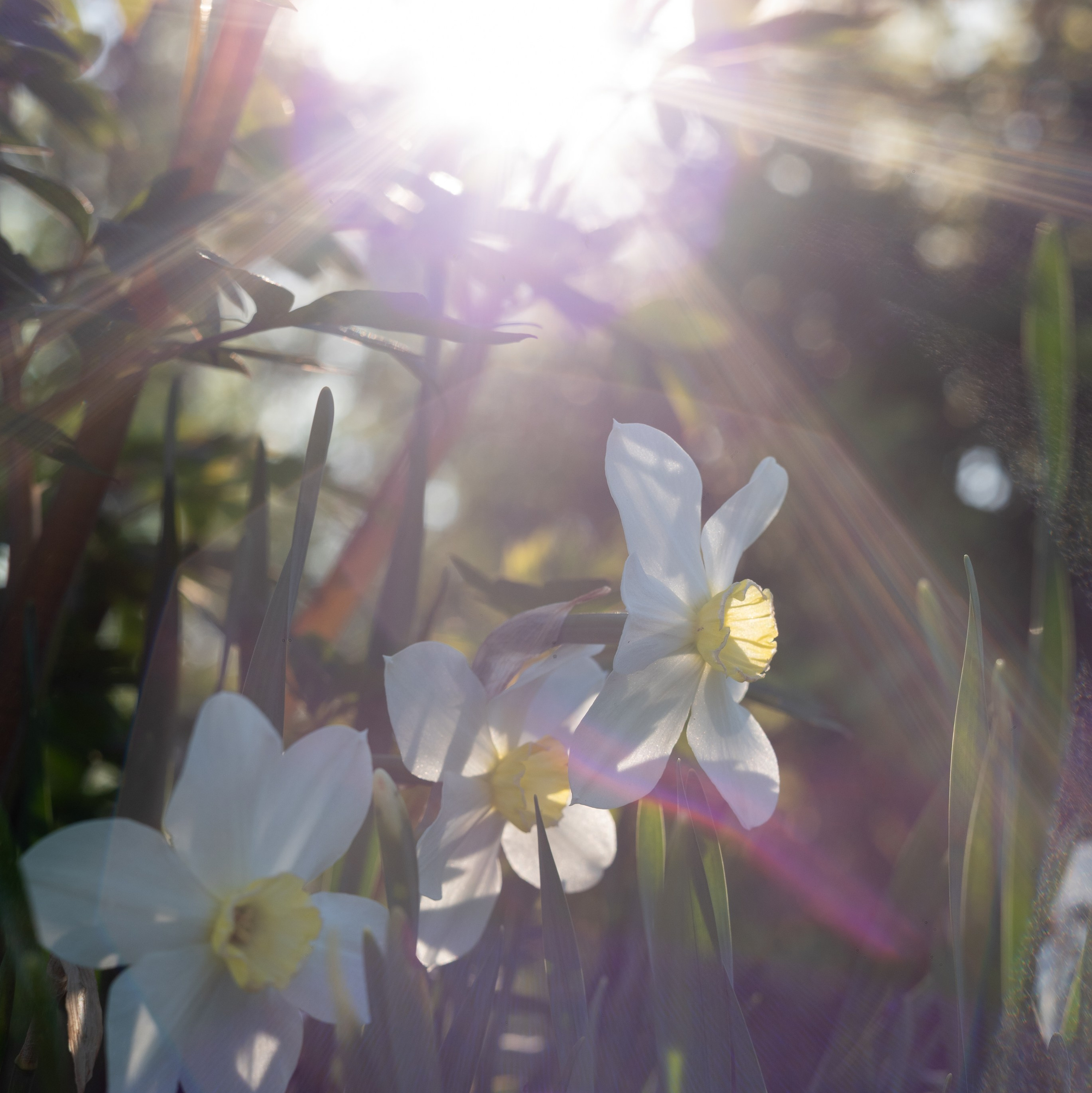 Вторая часть второй жизни Гелиос 44-2