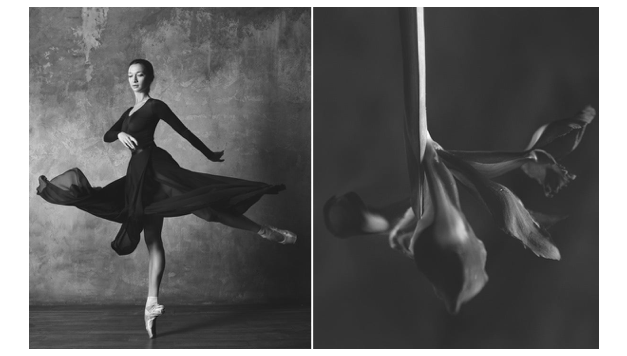 Press — My Modernmet