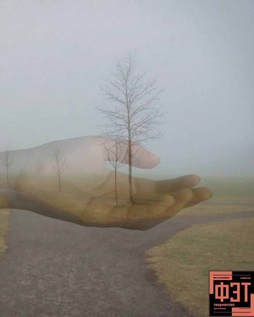 Альбом 22.03.26 в рамках ФЭТ