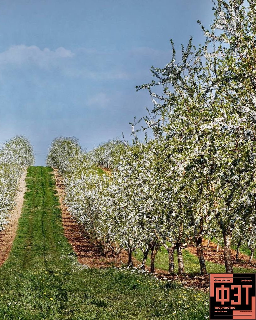 Альбом 29.03.26 в рамках ФЭТ