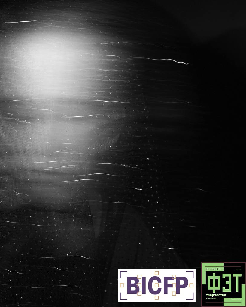 Альбом 28.12.25 ФЭТ