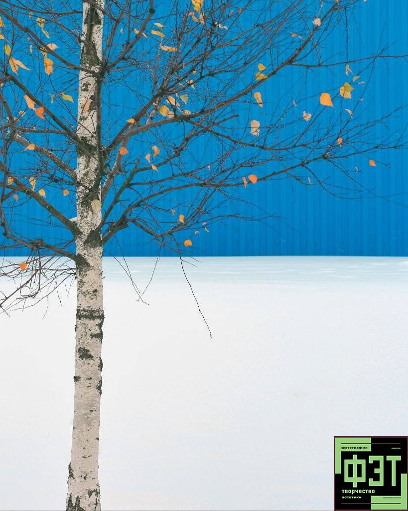 Наталья Переверзева