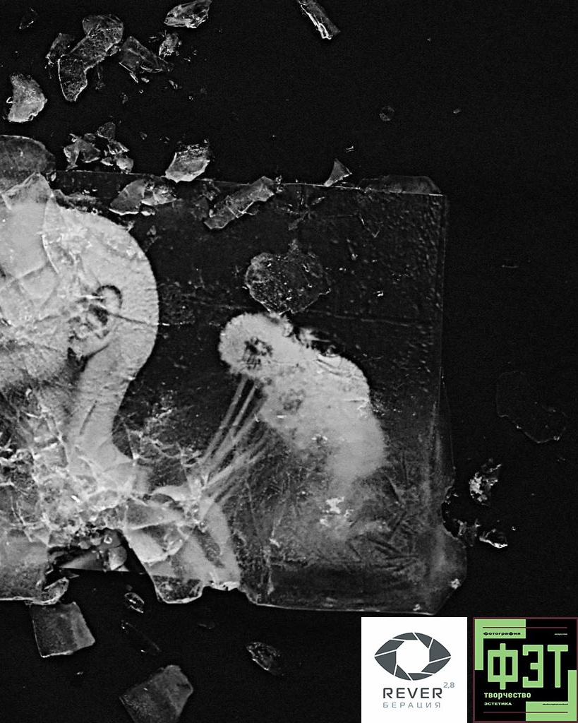 Альбом 07.12.25 проект ФЭТ