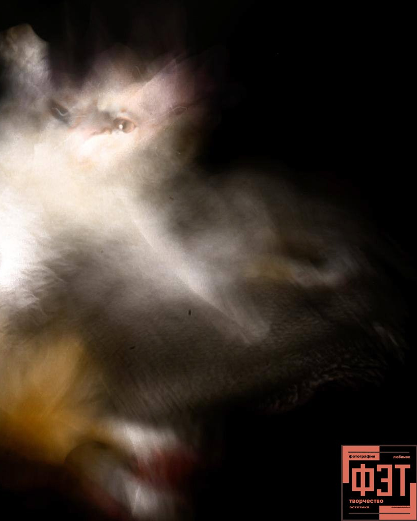 Альбом 18.01.26 проект ФЭТ