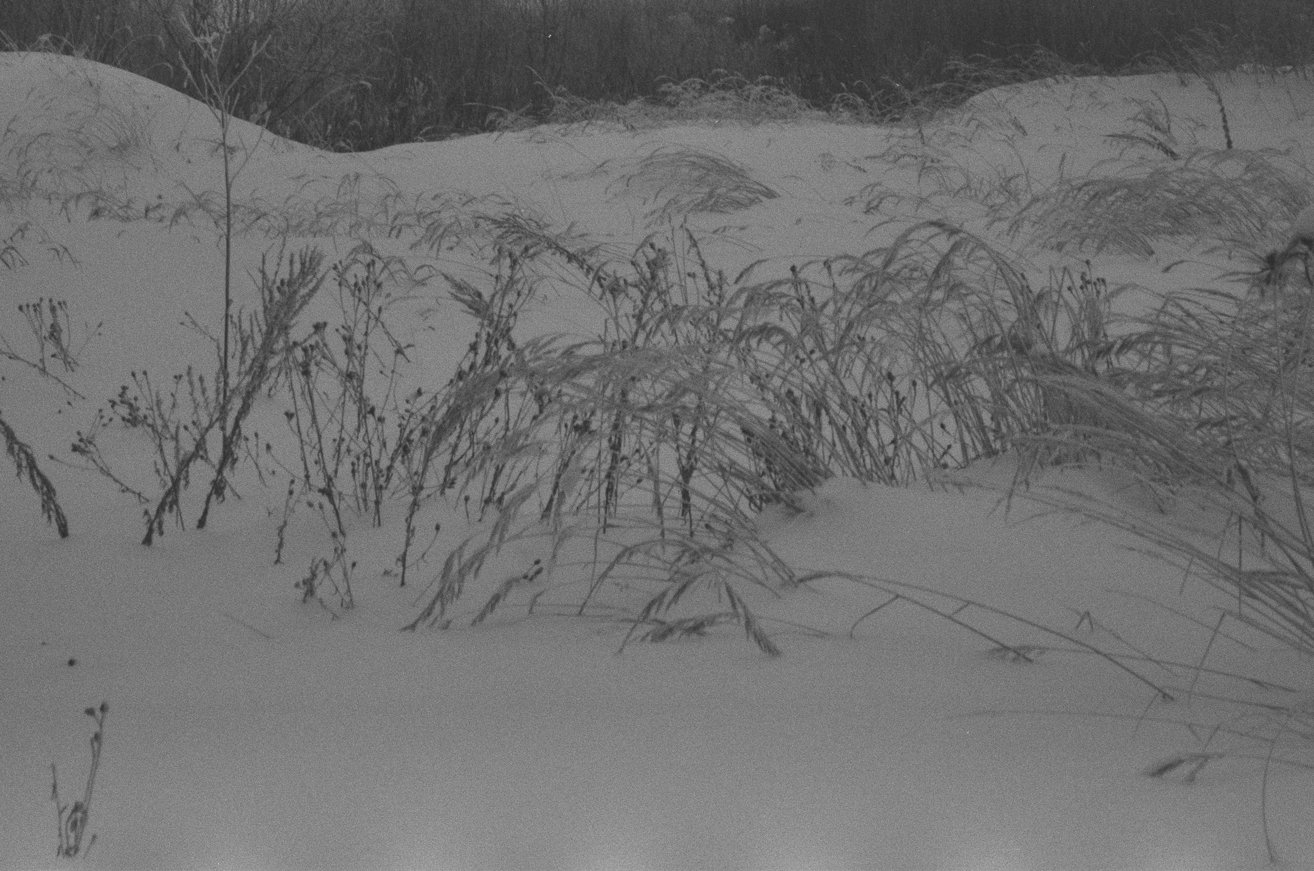 Зарисовки — Зима — Документальный фотограф Настя Строчкина