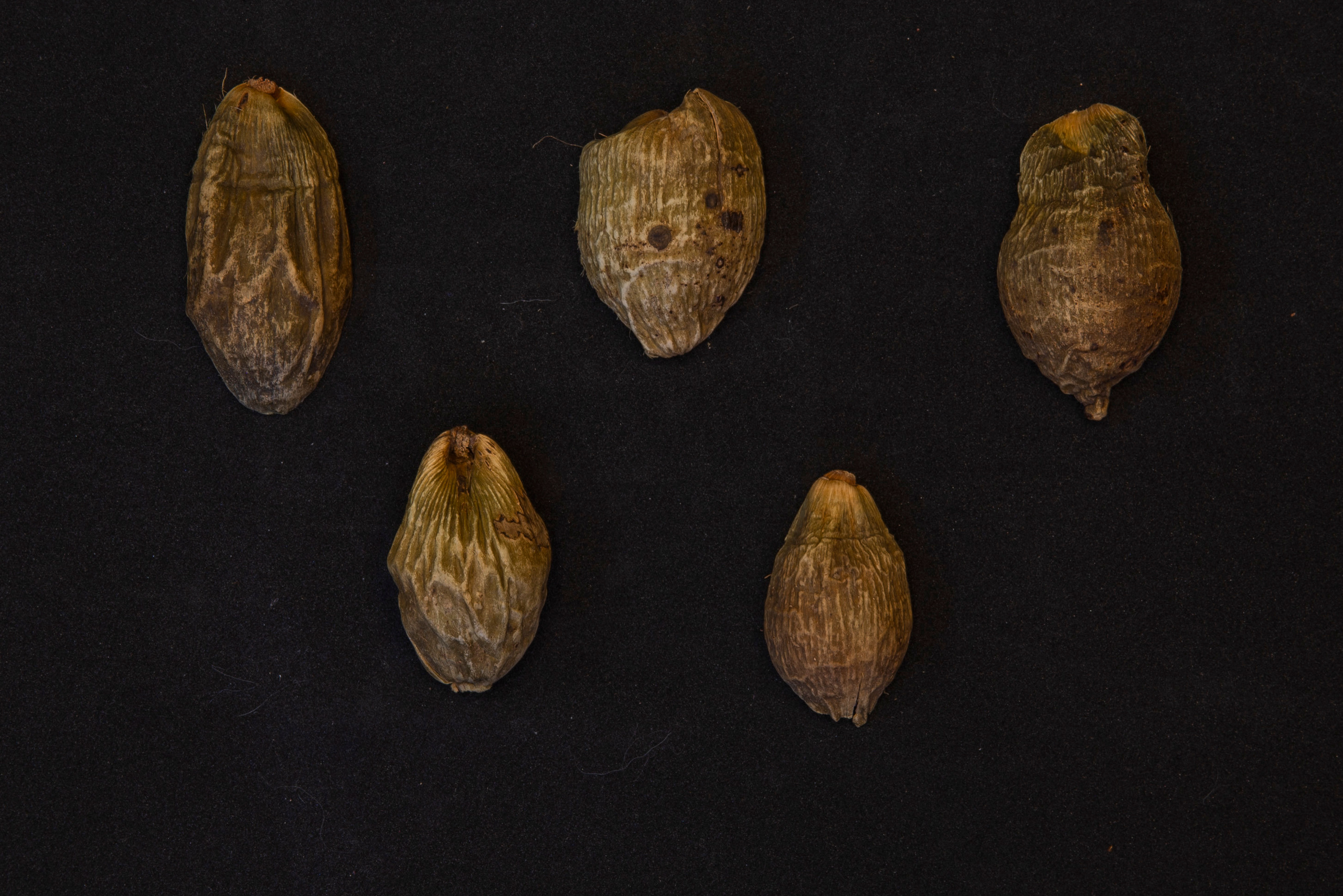 Выставка ''Черный ящик'' с 16 марта по 16 апреля 2021 года