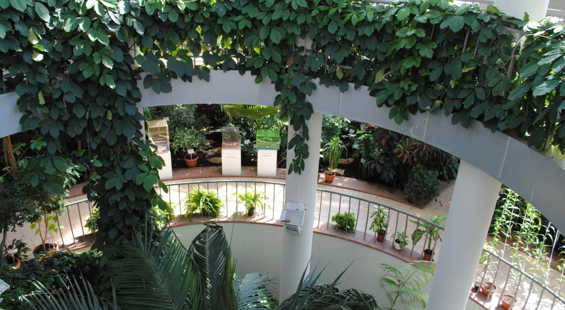 Топ локаций Минска для свадебной прогулки в дождь. Свадебный и портретный фотограф в Минске Наташа Каракулова