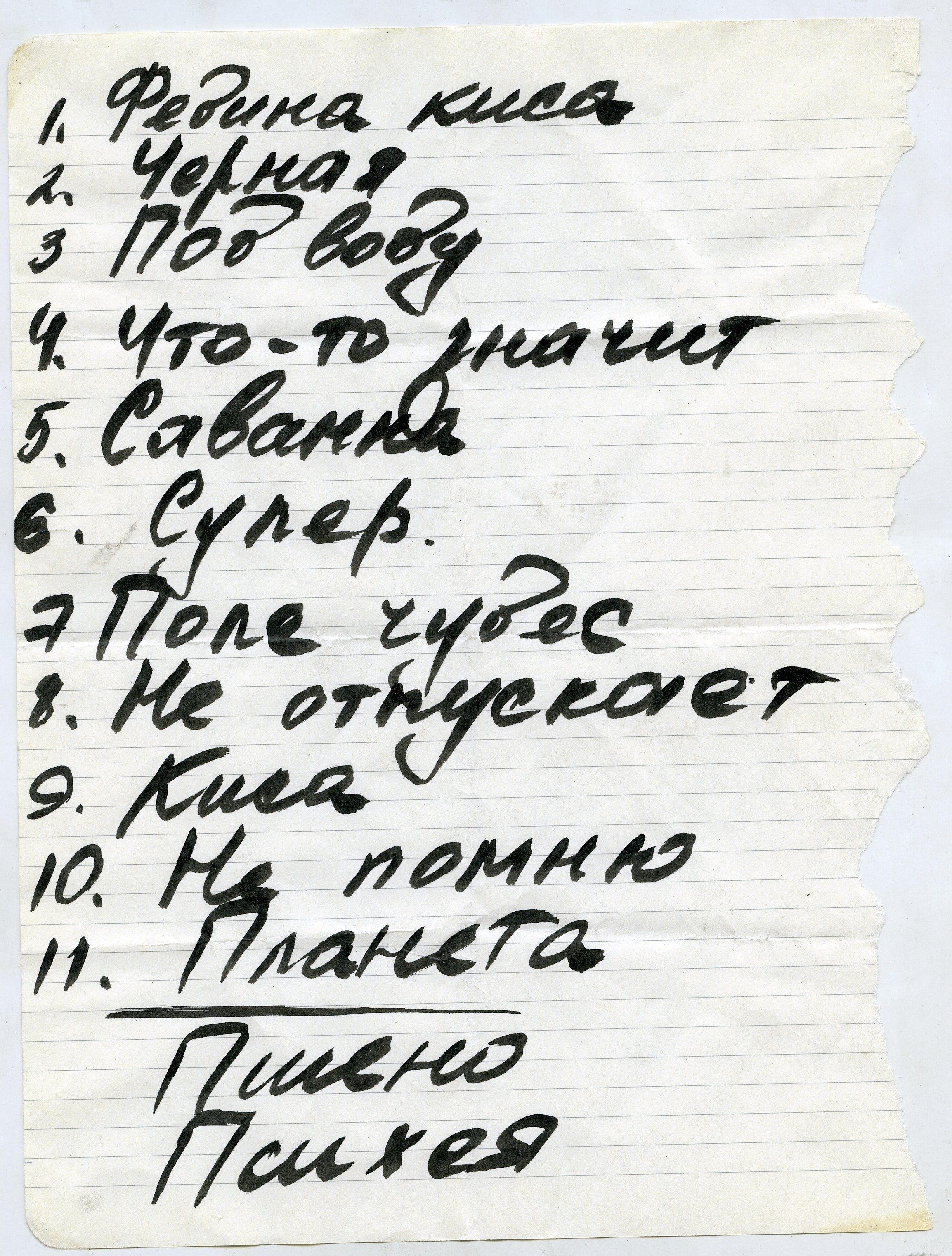 Липкий пол [книга]. Аня белка — художница и фотограф