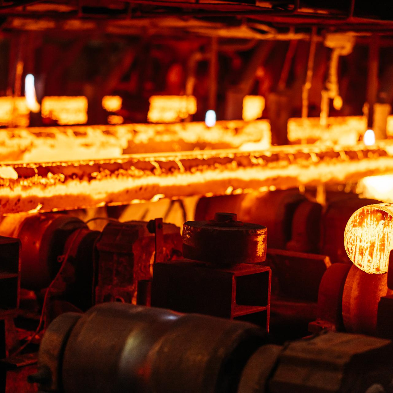 Профессиональный фотограф Вячеслав Плацында | Липецк |