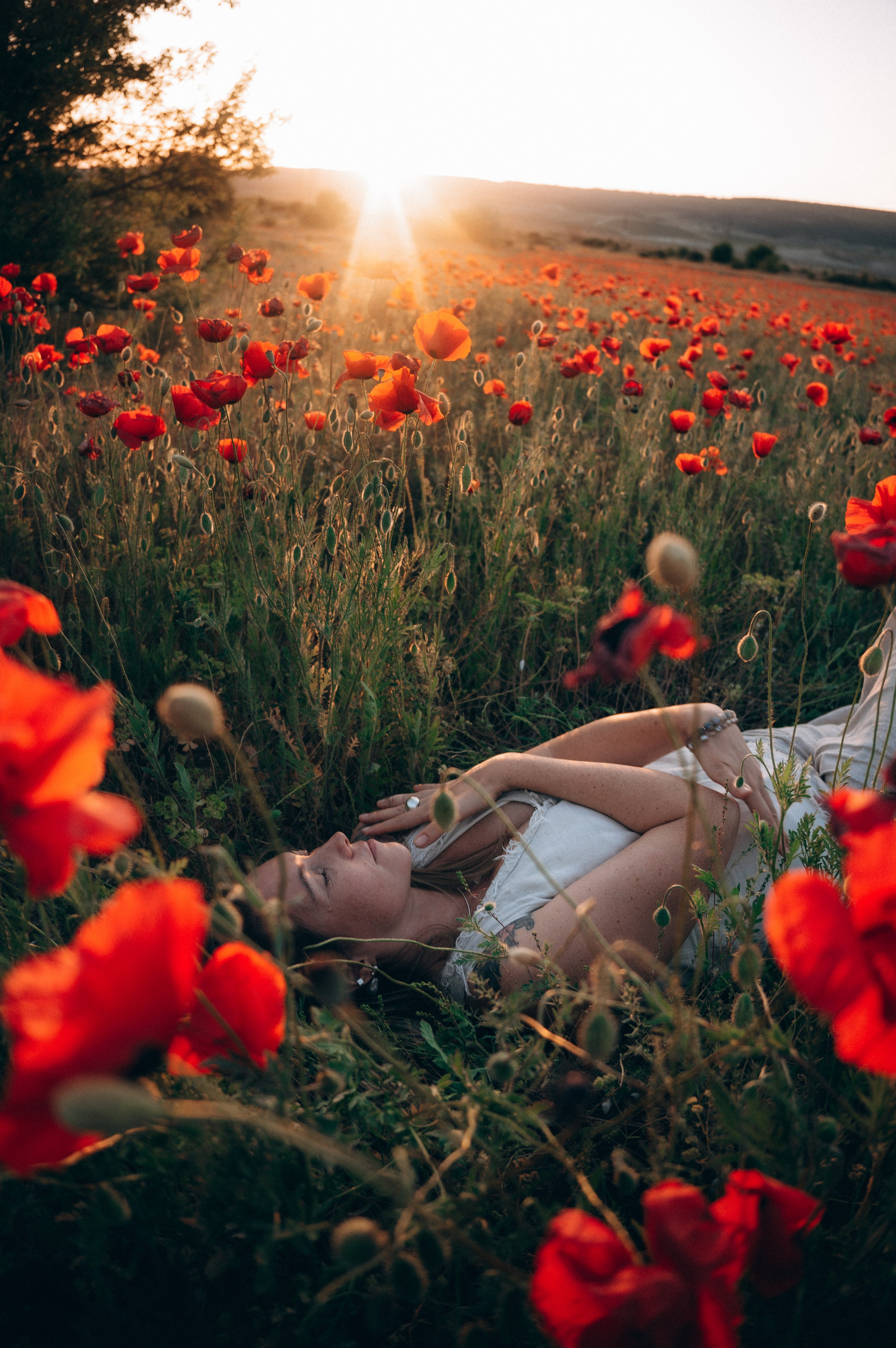 Услуги. Обо мне