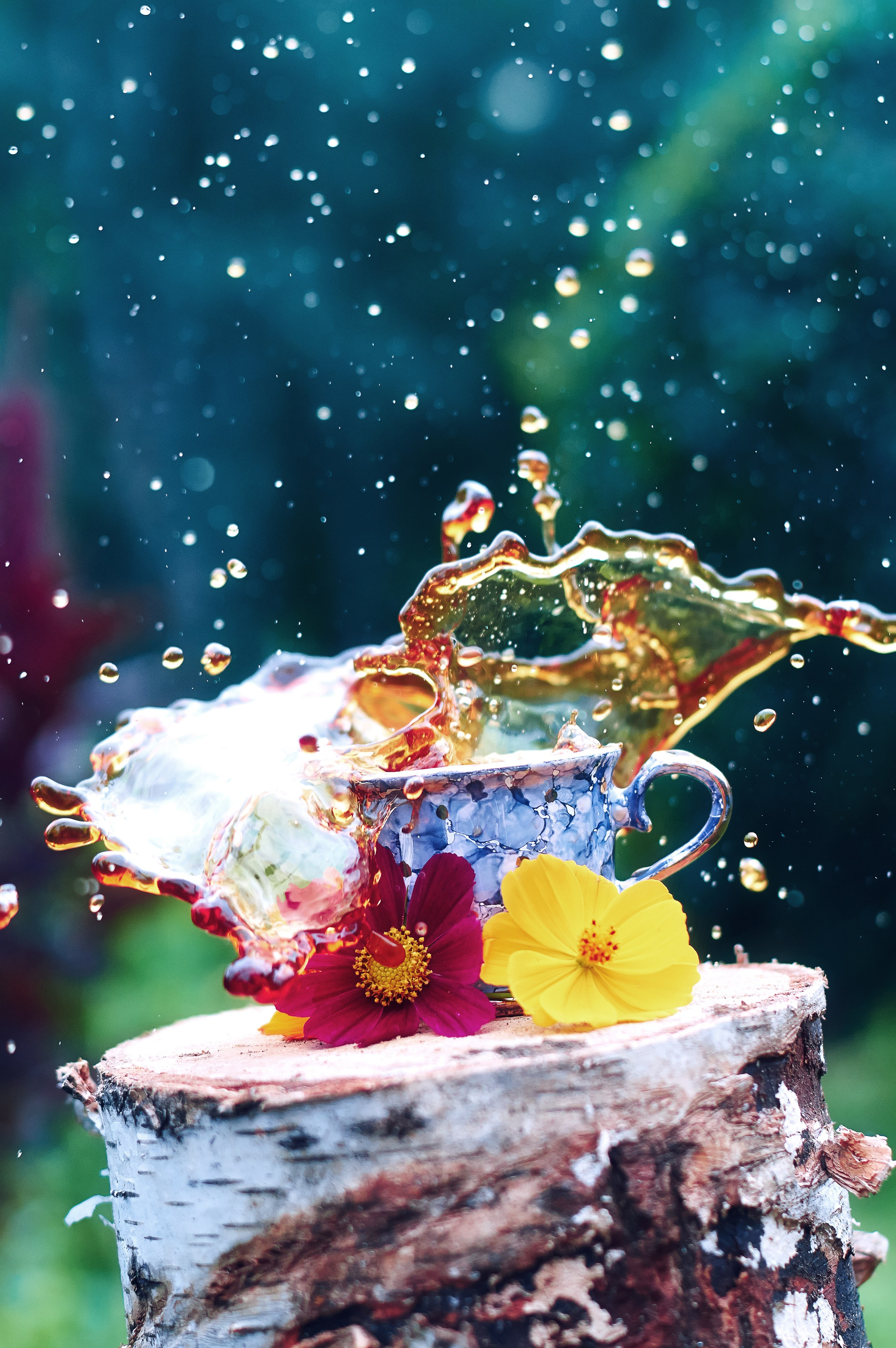 Предметы. Фотограф Шибков Константин