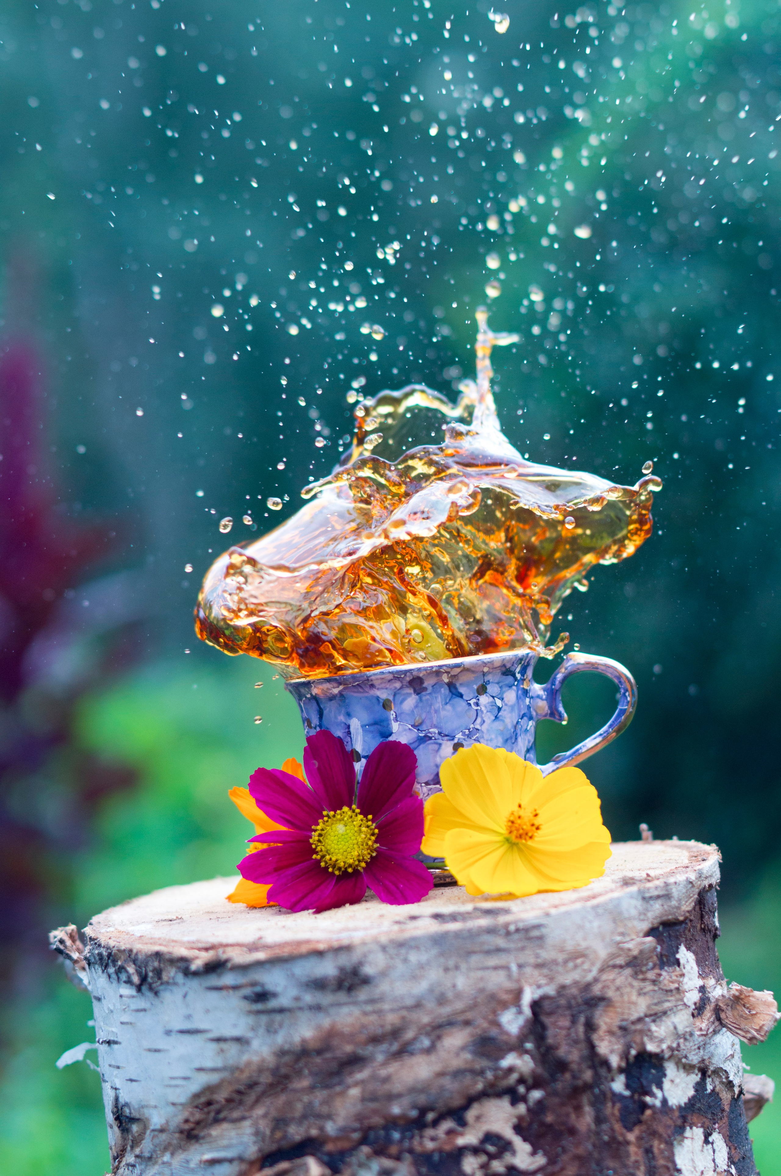 Предметы. Фотограф Шибков Константин