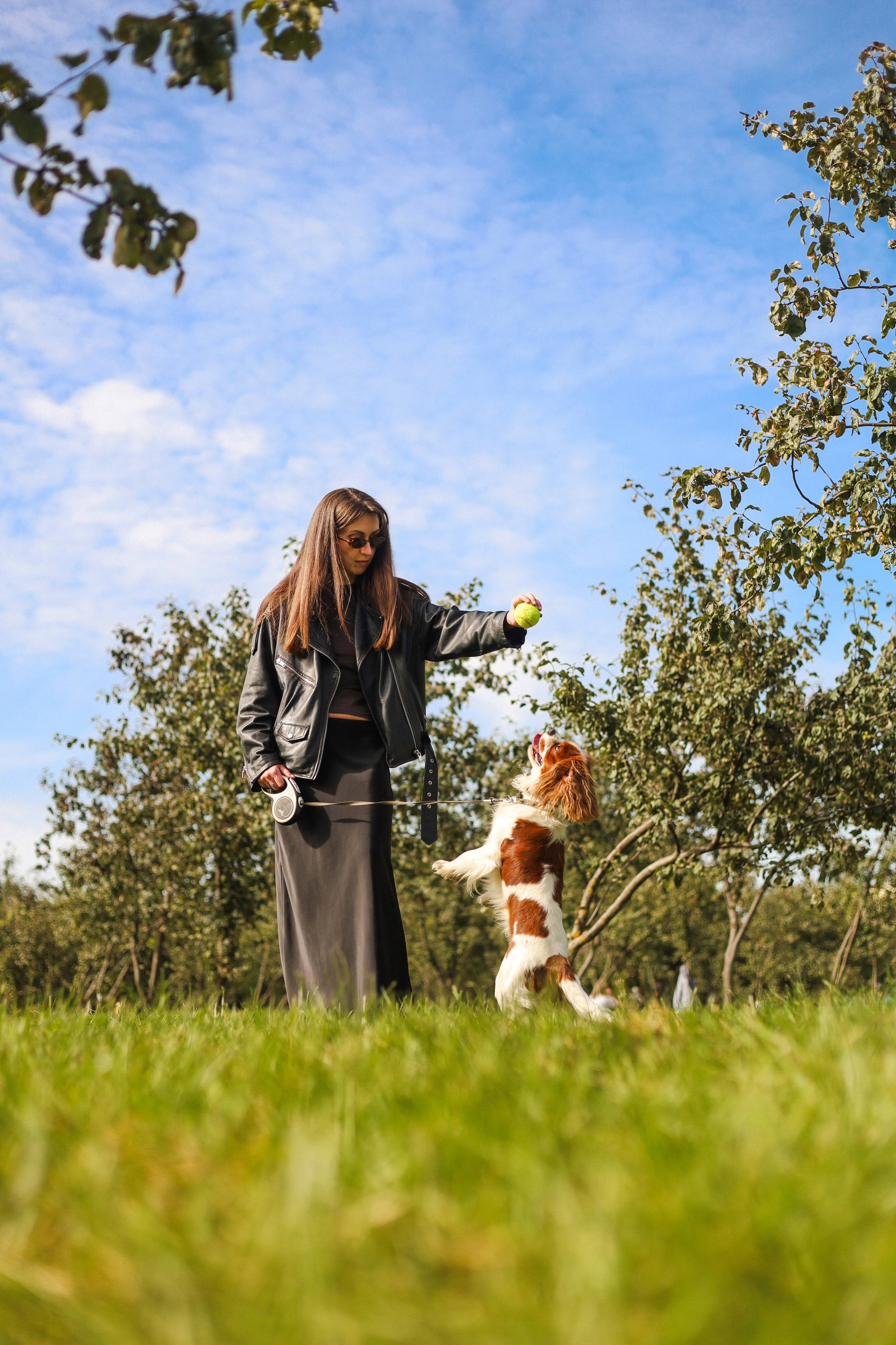 Тарифы и цены. Фотограф-анималист Ксения Шевцова|Москва