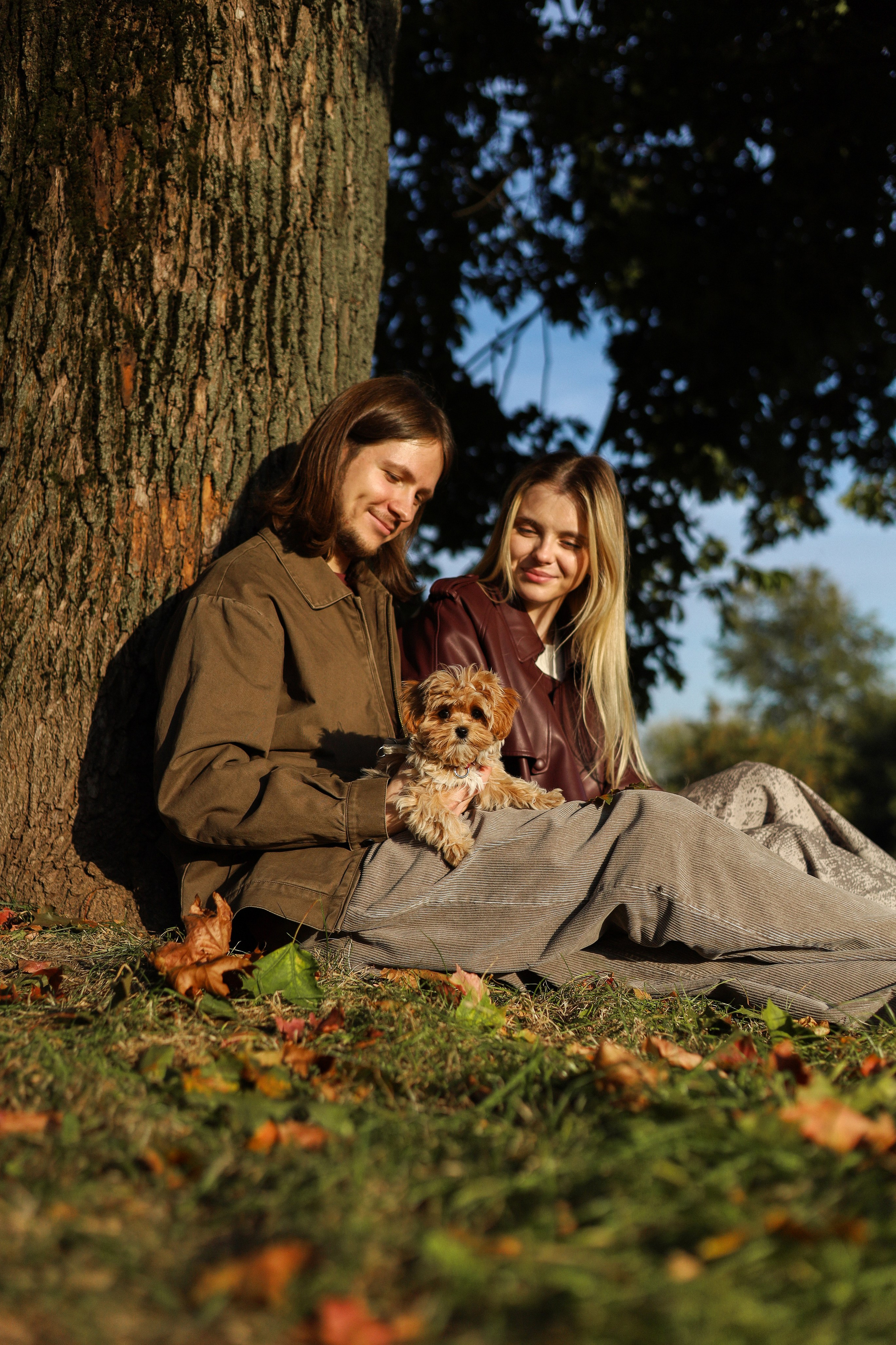 Тарифы и цены. Фотограф-анималист Ксения Шевцова|Москва