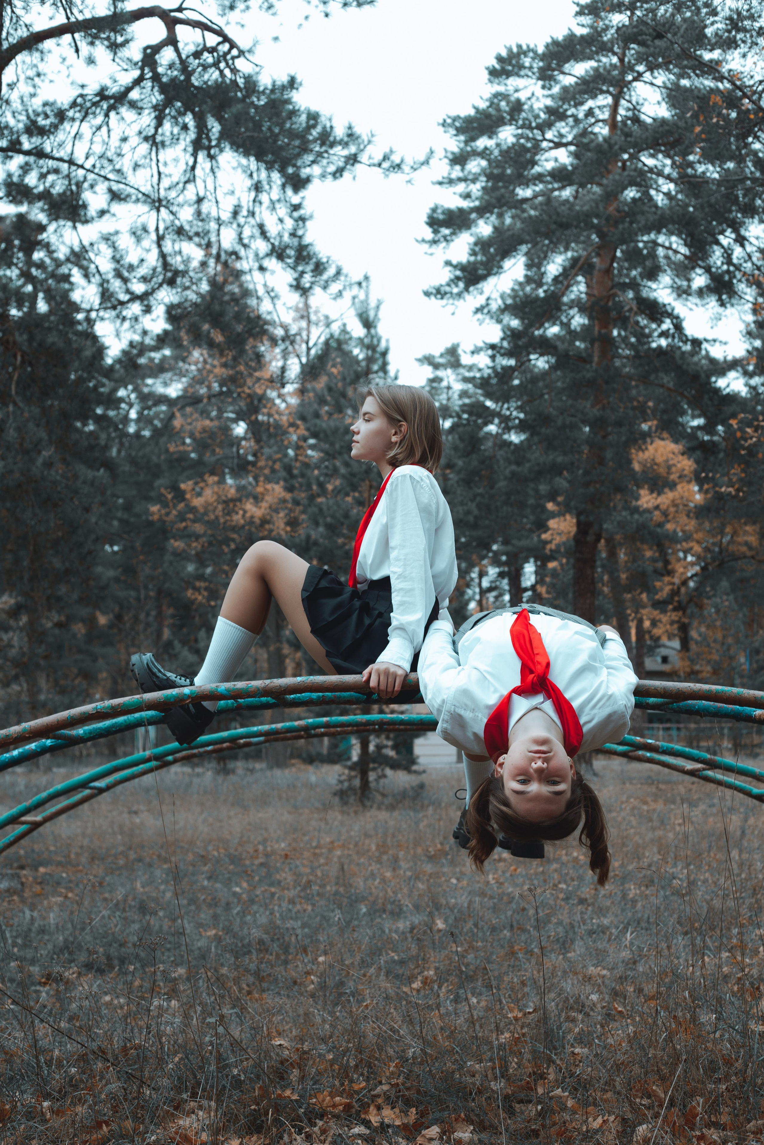 Обучение. Orliphoto_