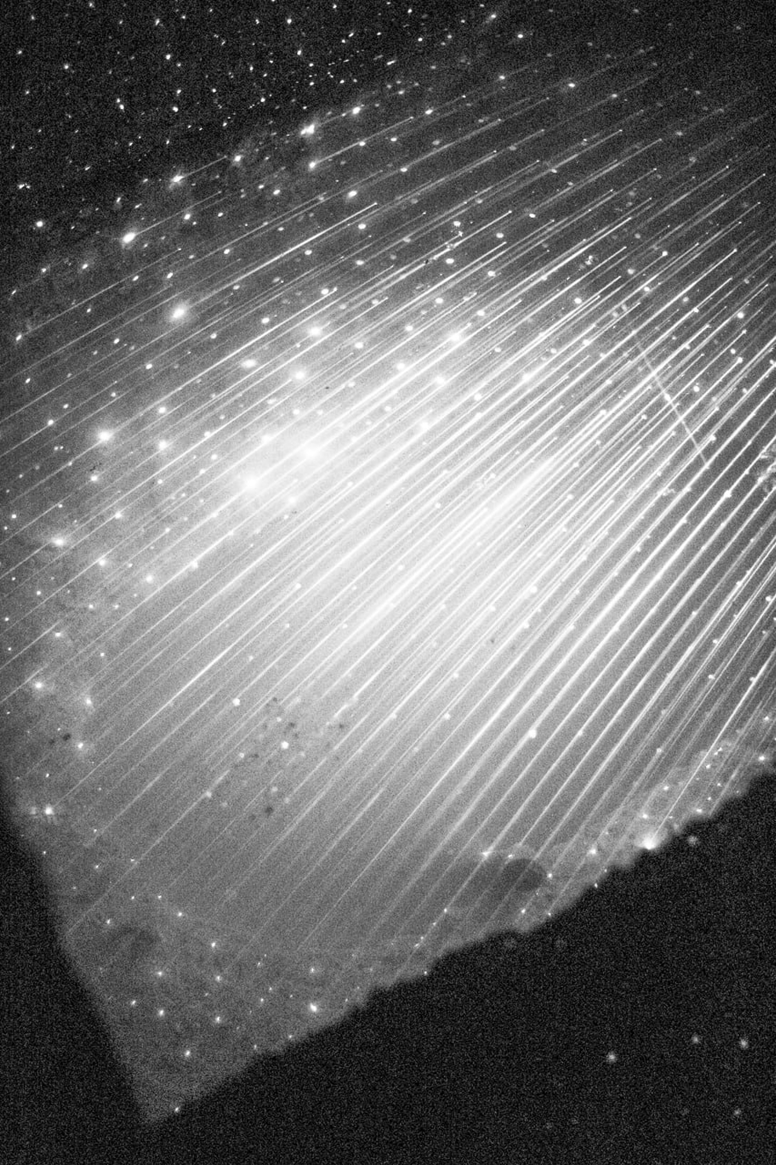 Стратегия продвижения для фотографов. Самоорганизация Низина