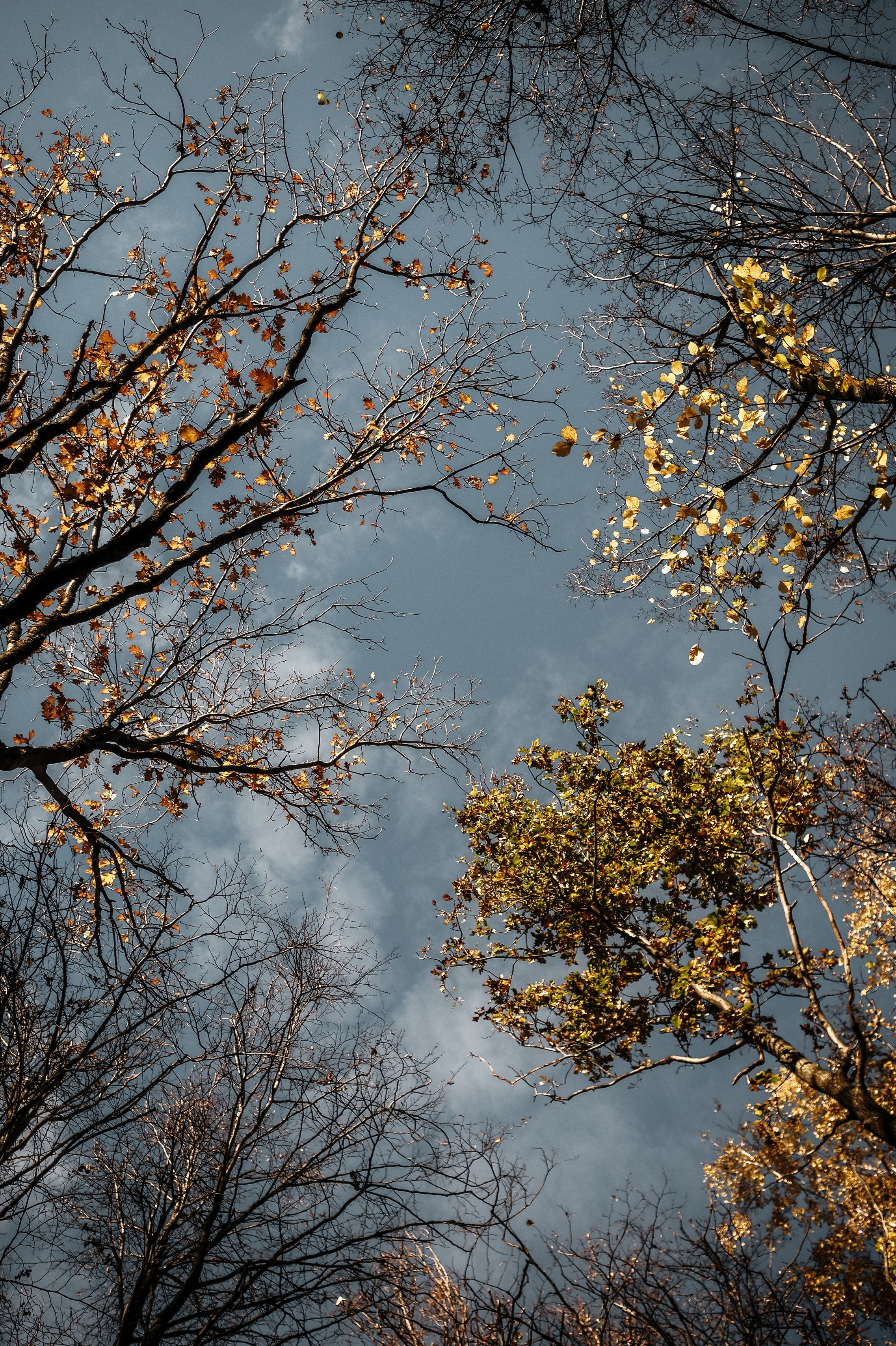 Консультации