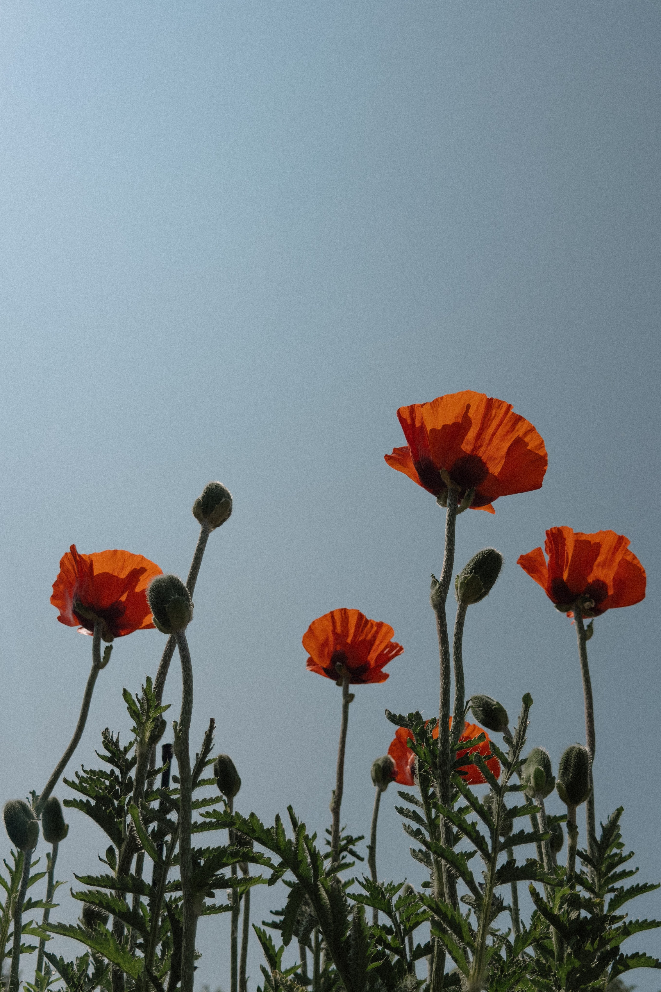 Консультации