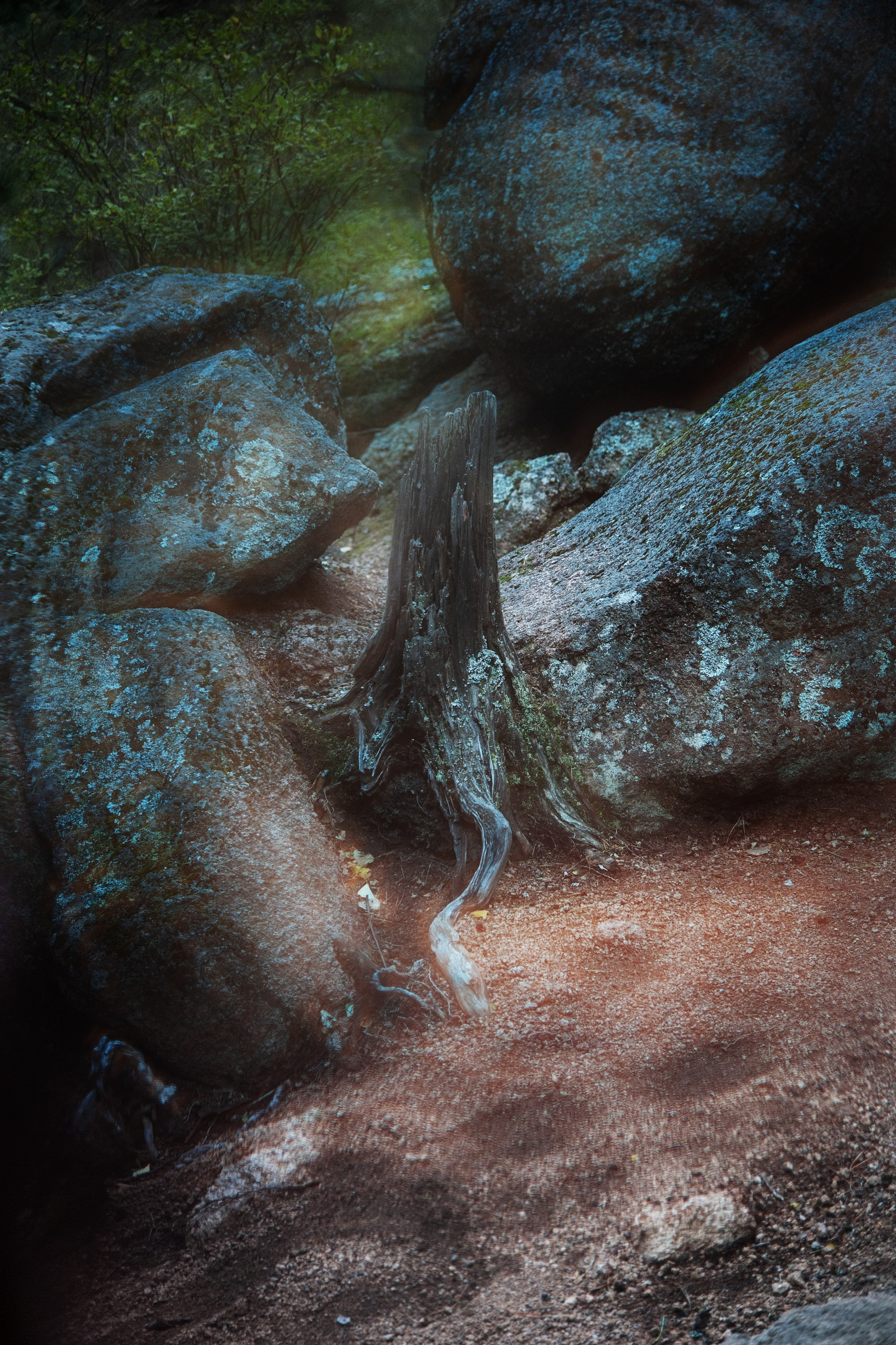 Работы, сделанные в Арт-резиденции «Красноярские столбы». Арт-фотография, терапевтическая фотография в Москве. Фотограф Анна Ермолова