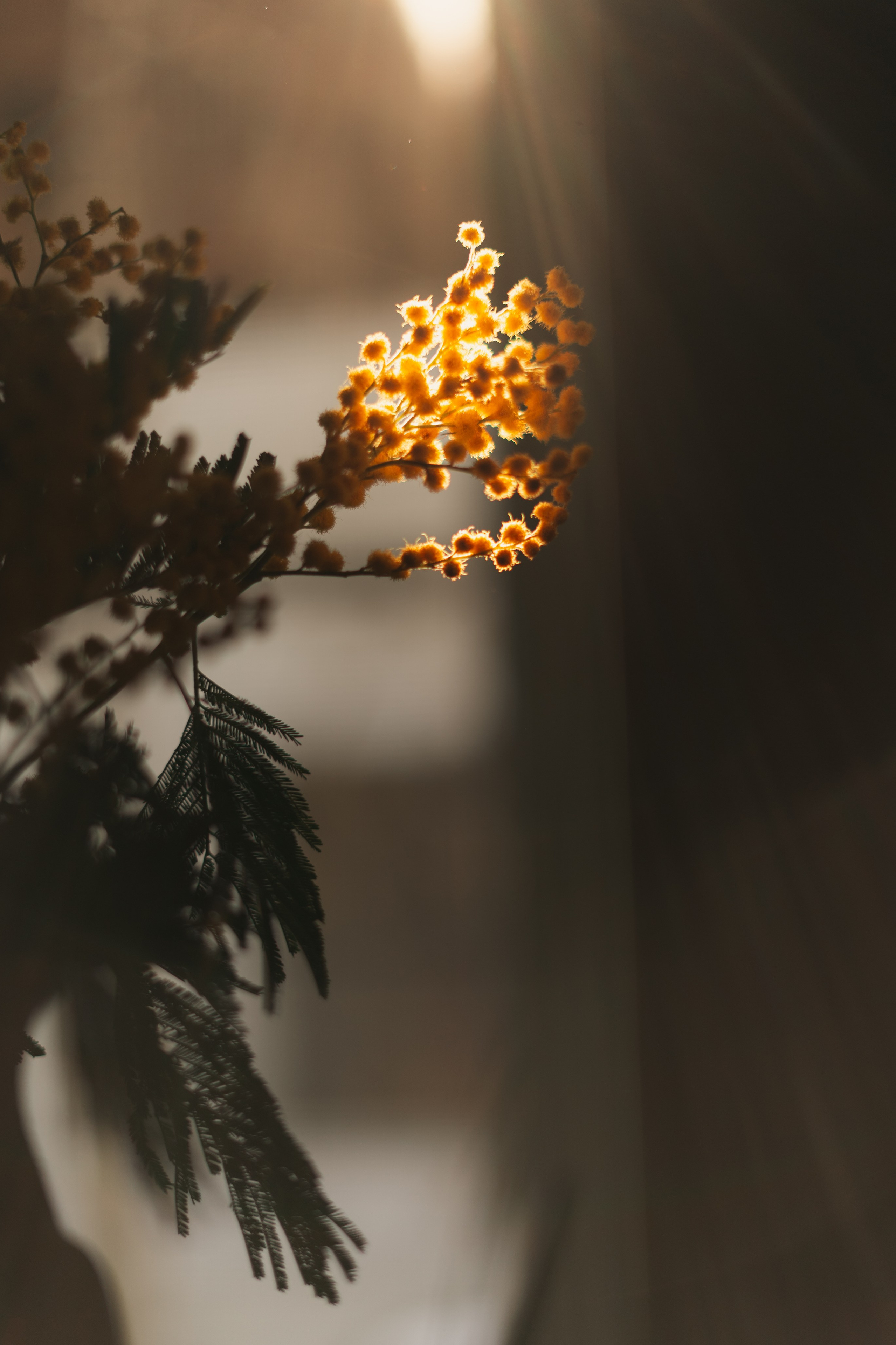 365 Фоточеллендж | 365 Photochallenge. Семейный и детский фотограф Гончарова Елена | Волжский, Волгоград