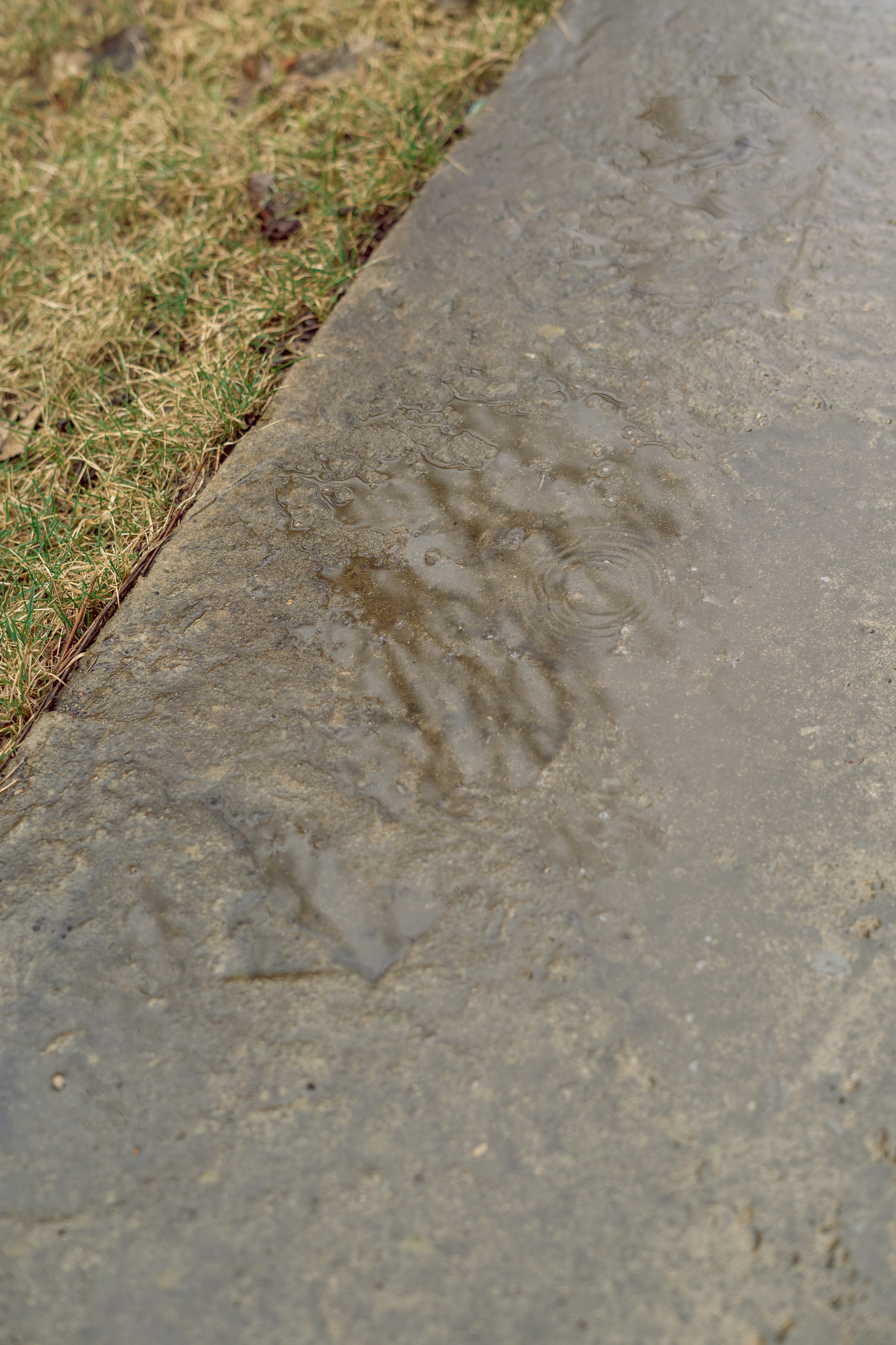 365 Фоточеллендж | 365 Photochallenge. Семейный и детский фотограф Гончарова Елена | Волжский, Волгоград