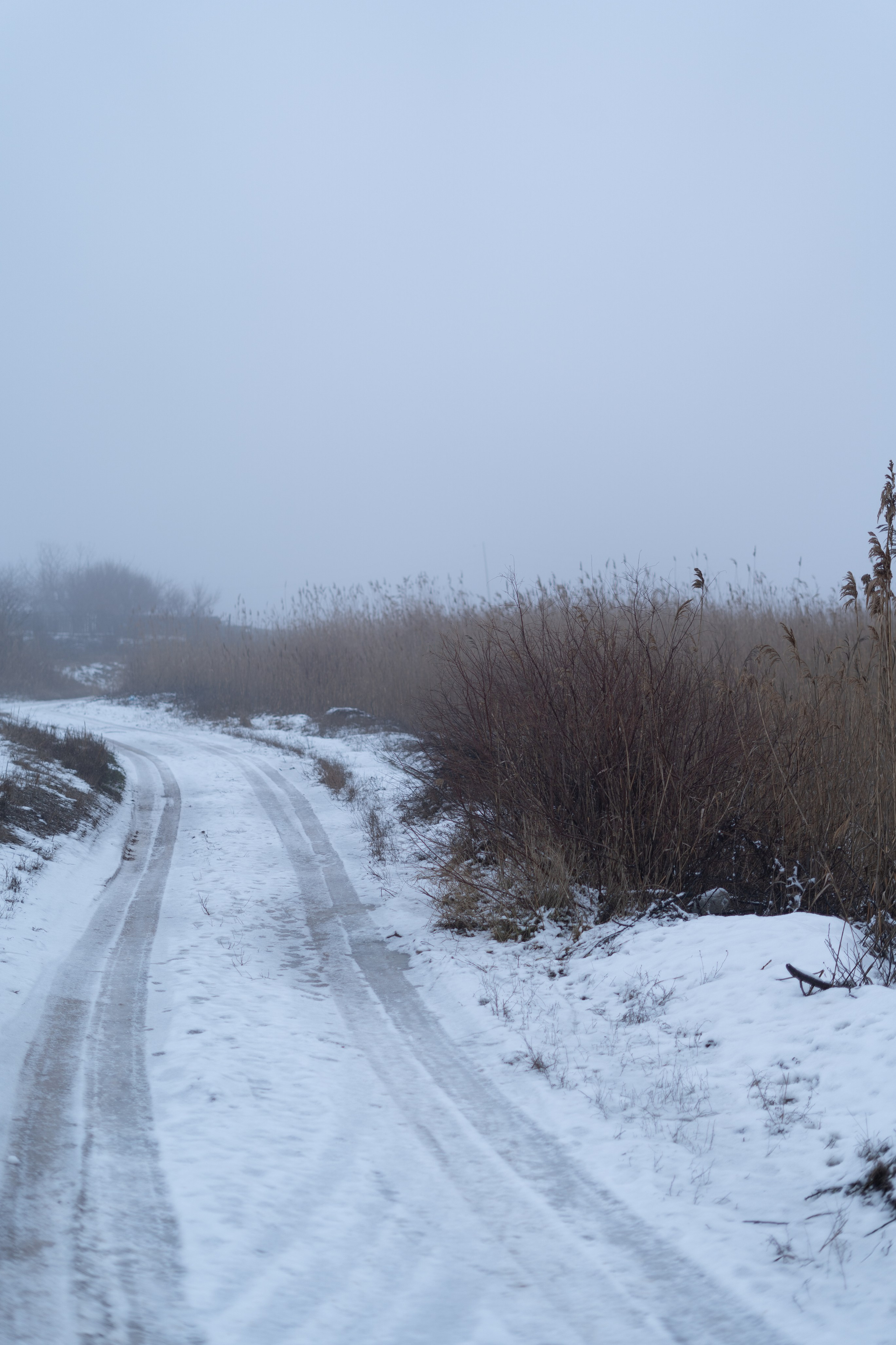 365 Фоточеллендж | 365 Photochallenge. Семейный и детский фотограф Гончарова Елена | Волжский, Волгоград