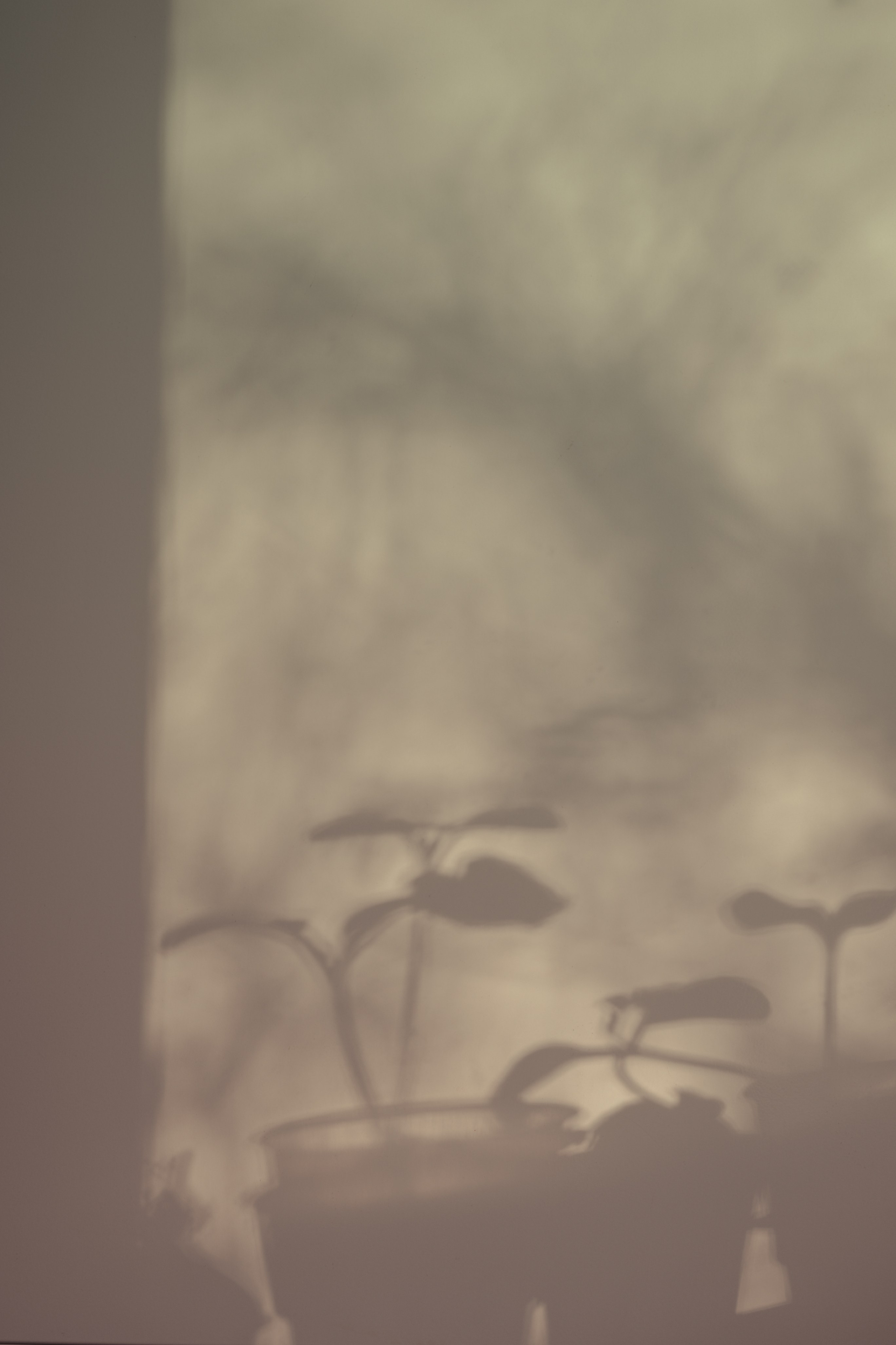 365 Фоточеллендж | 365 Photochallenge. Семейный и детский фотограф Гончарова Елена | Волжский, Волгоград