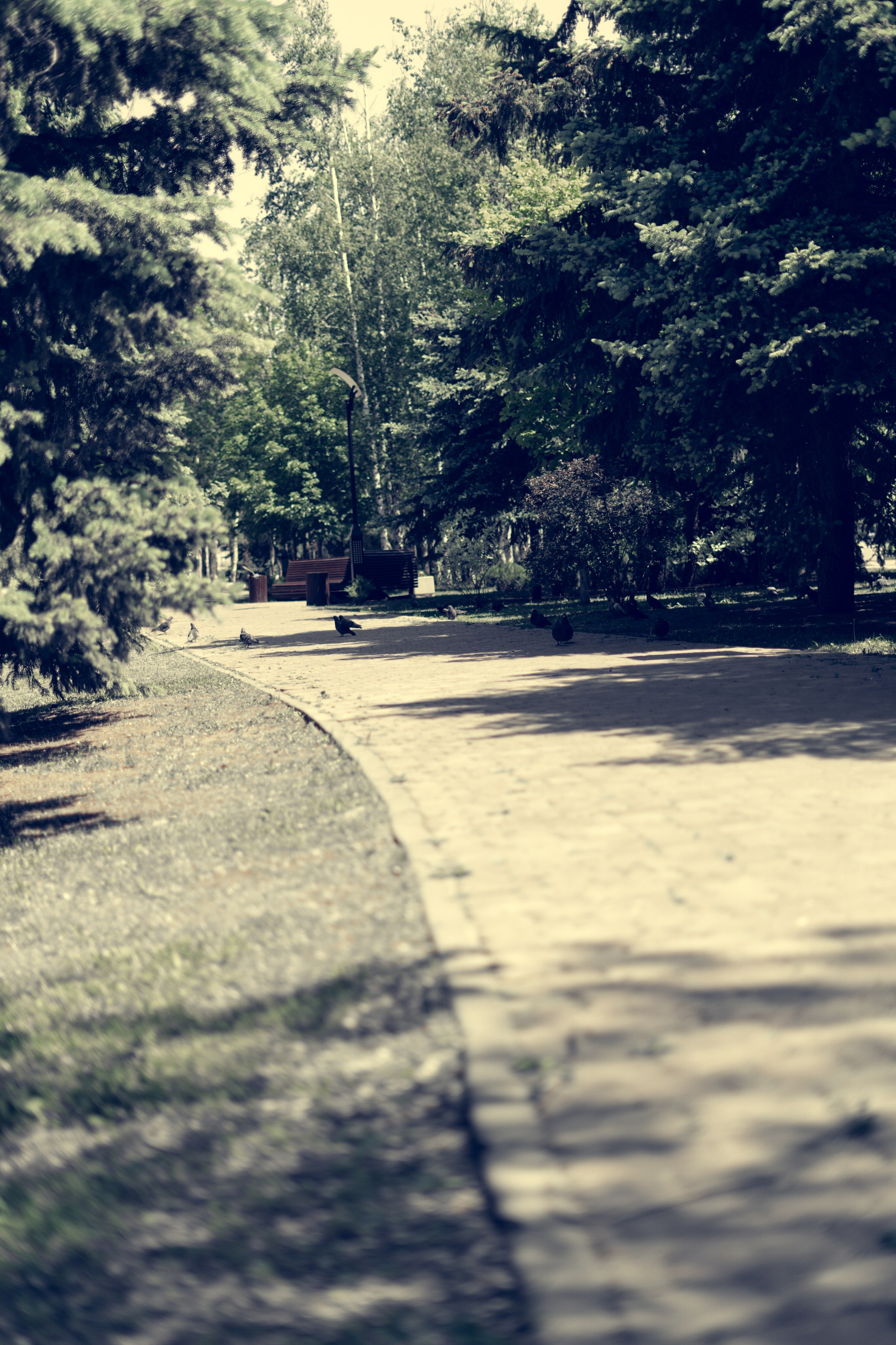 365 Фоточеллендж | 365 Photochallenge. Семейный и детский фотограф Гончарова Елена | Волжский, Волгоград