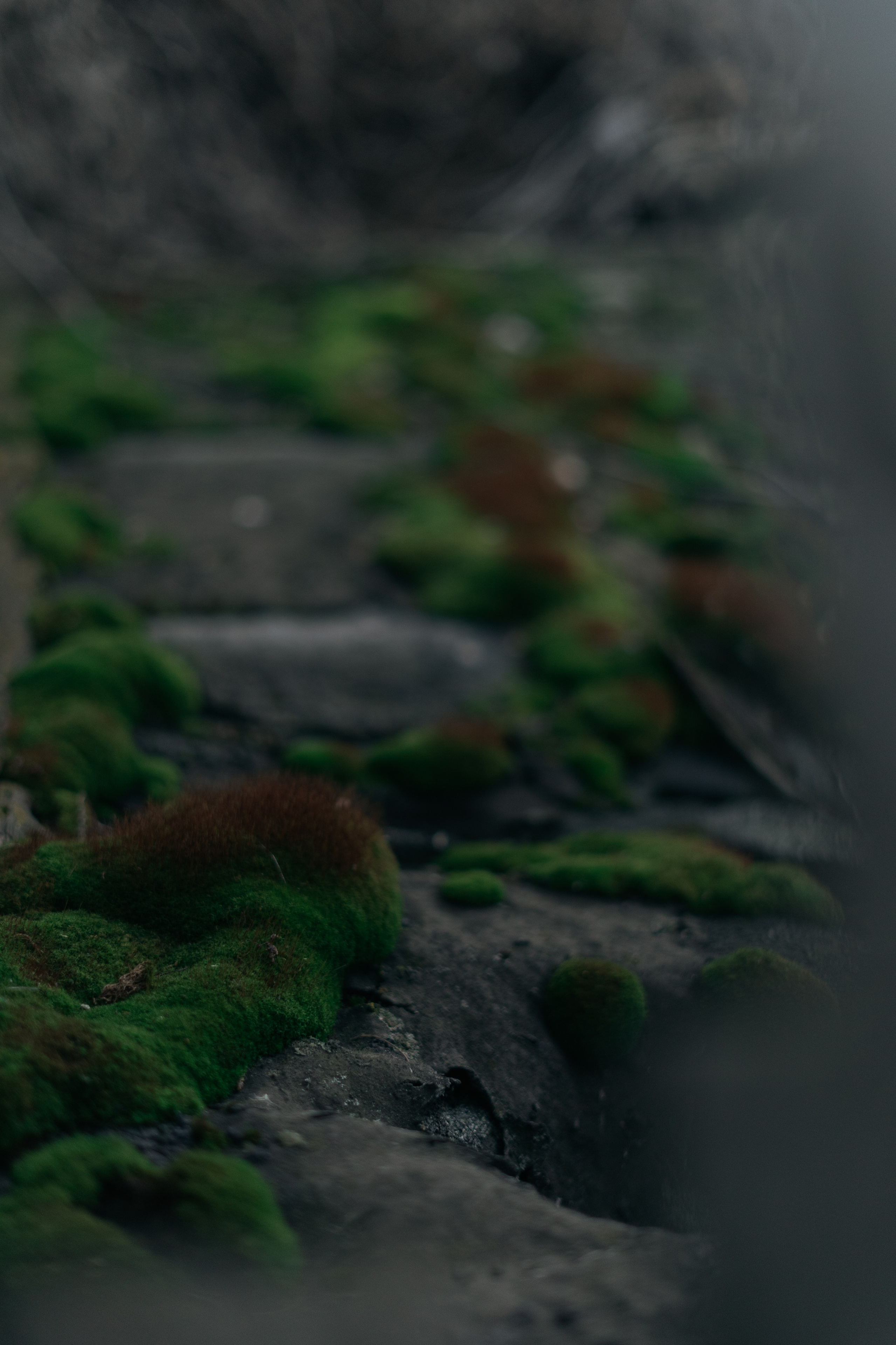 365 Фоточеллендж | 365 Photochallenge. Семейный и детский фотограф Гончарова Елена | Волжский, Волгоград