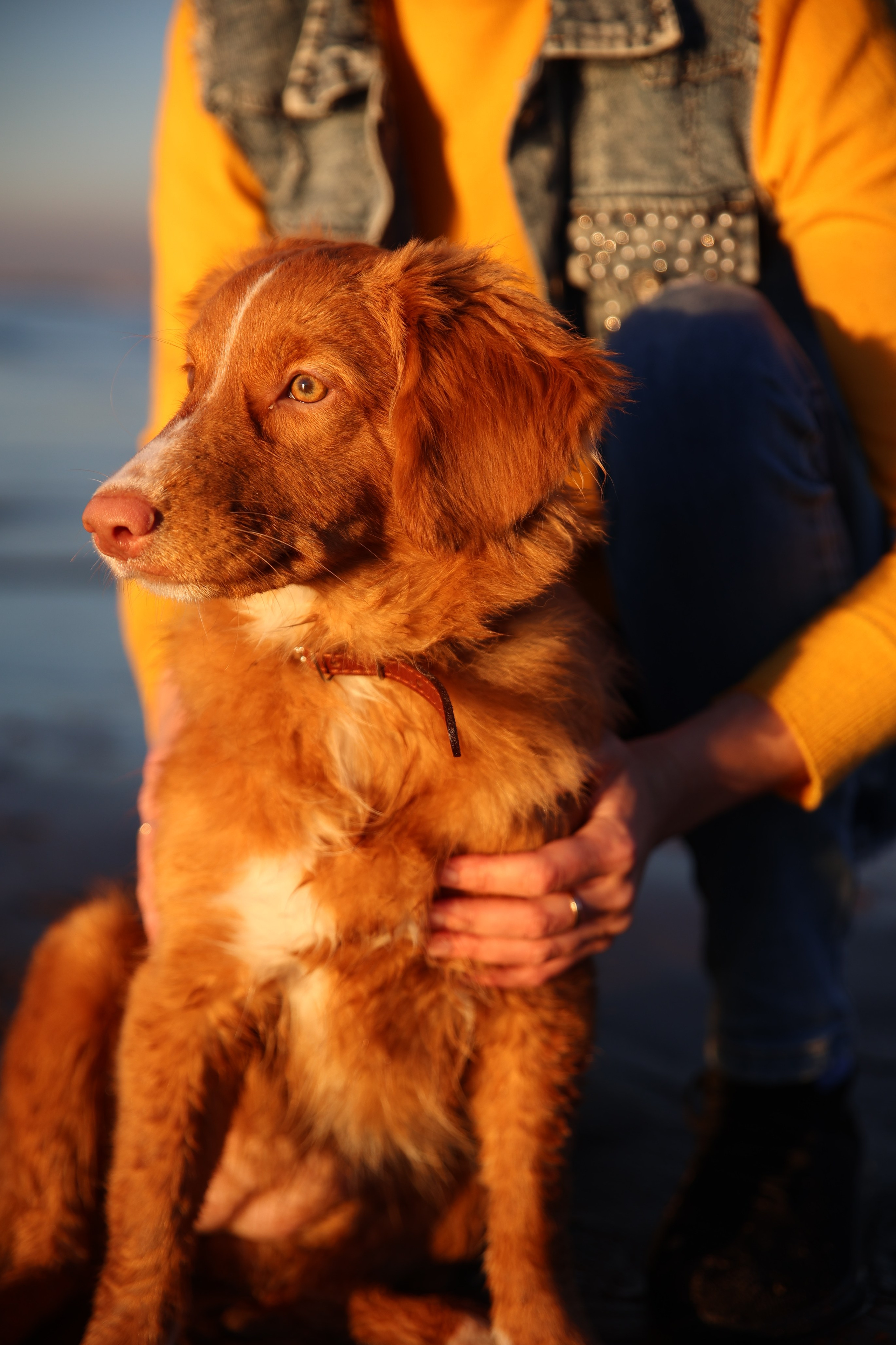 Обо мне. Фотохудожник Татьяна Бойцова