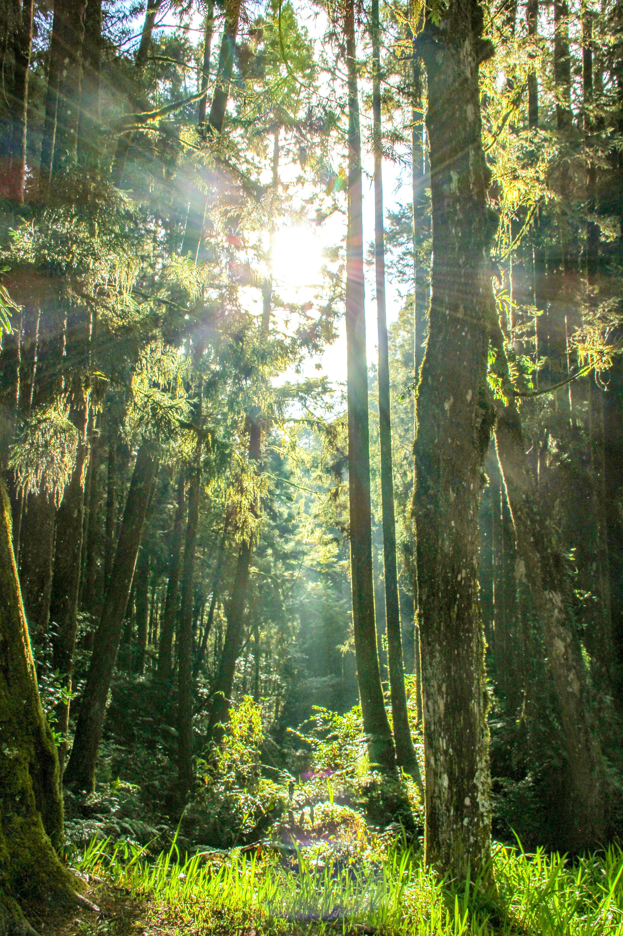 Arky. Soulstamina ~ graphic designer & visual artist from St.Petersburg