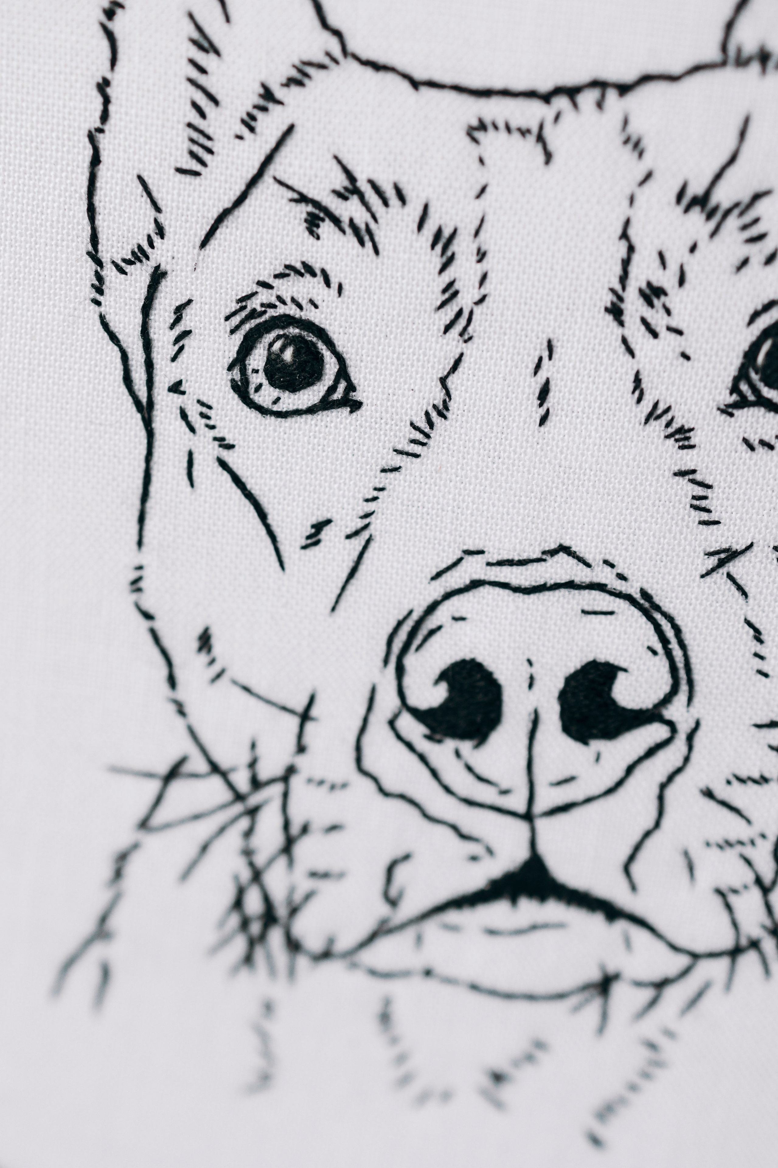 Стоимость. Портретная вышивка питомцев