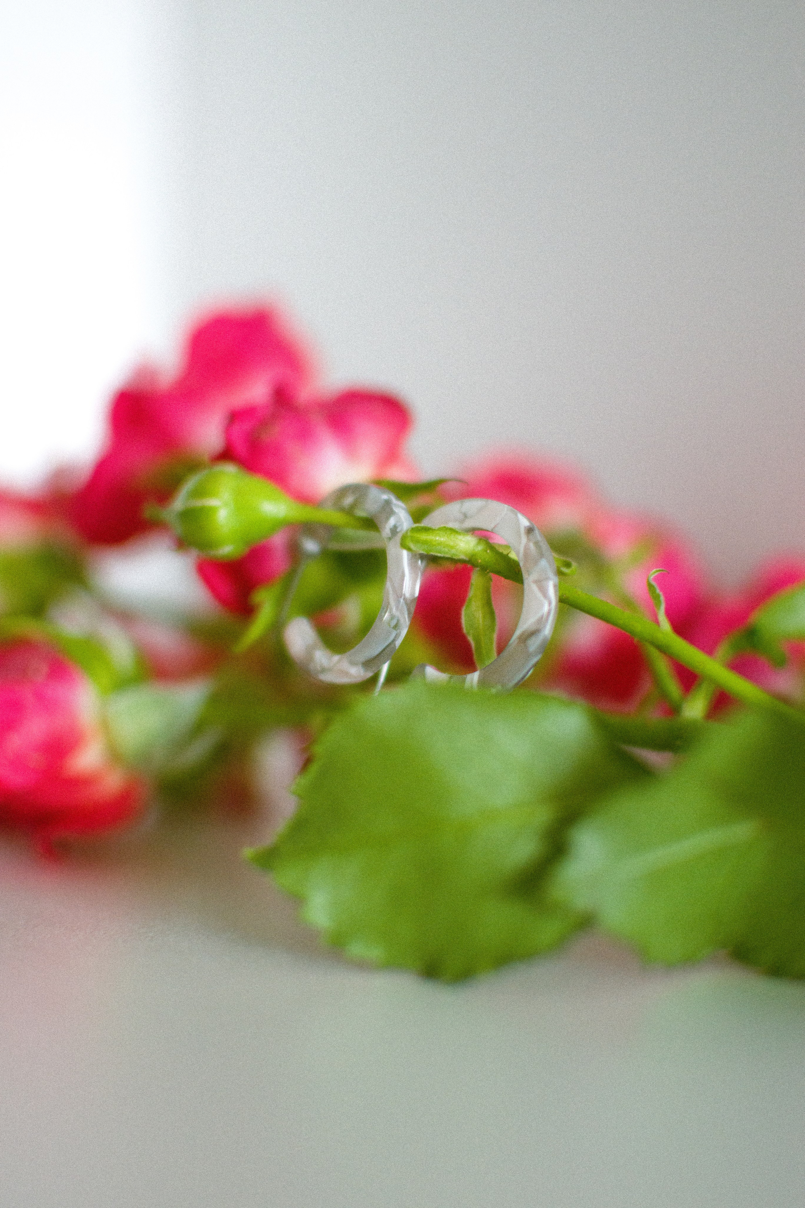 Предметная съемка. Фотограф-ретушер в Крыму Юля Лобурец