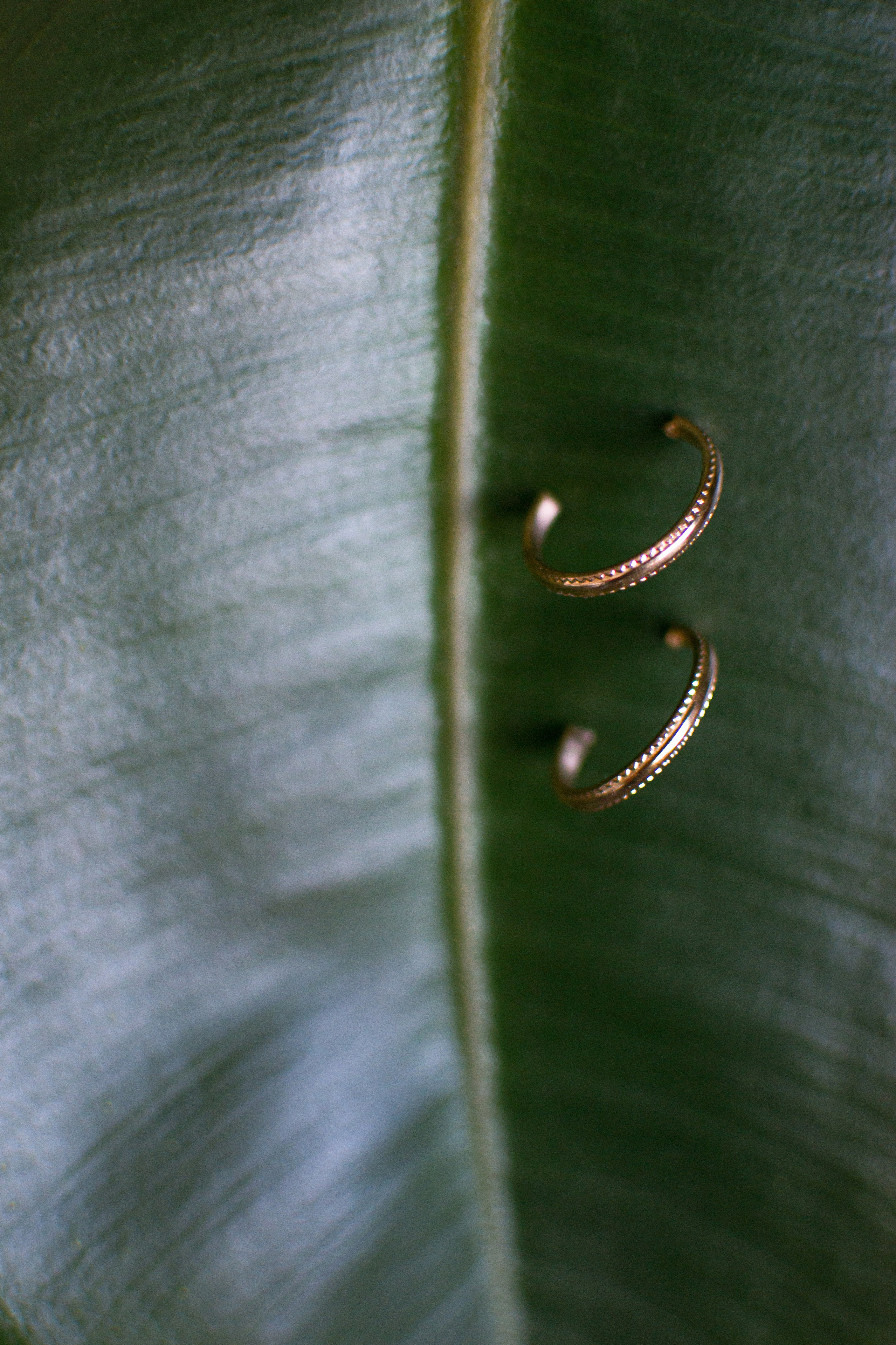 Предметная съемка. Фотограф-ретушер в Крыму Юля Лобурец
