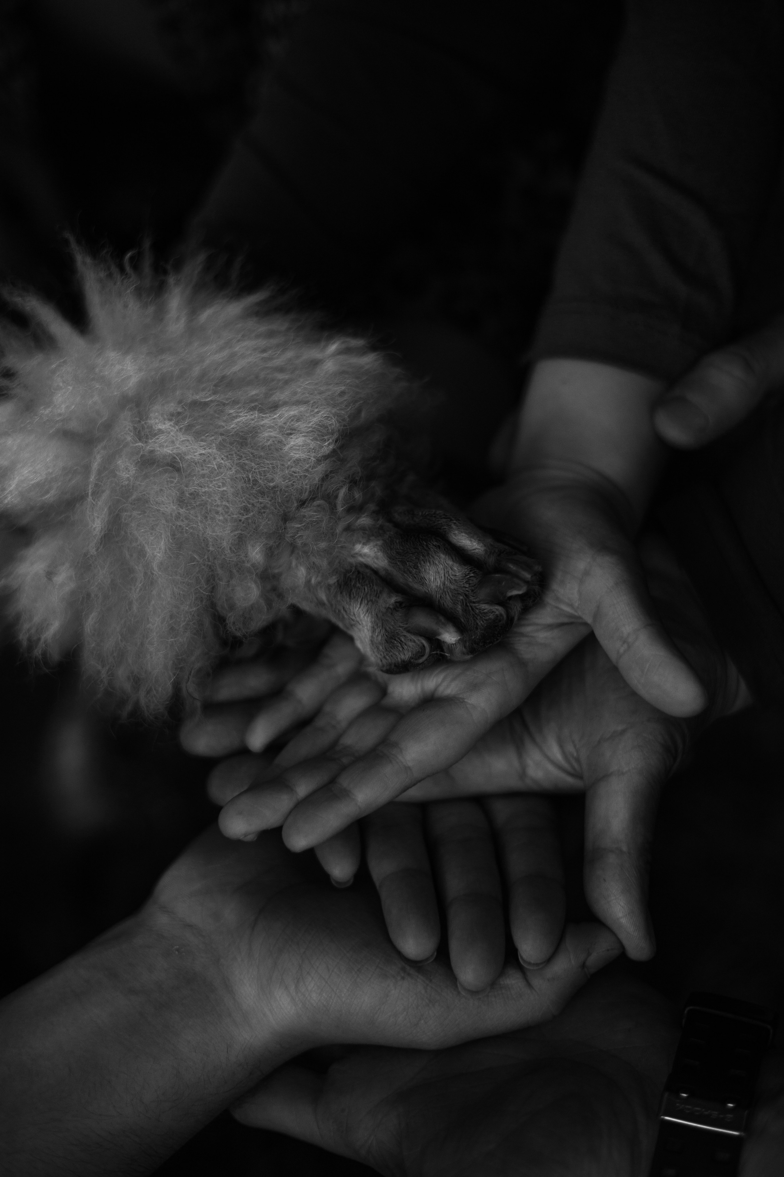 Услуги. Ваш фотограф во Владимире и Москве Валерия Увакина