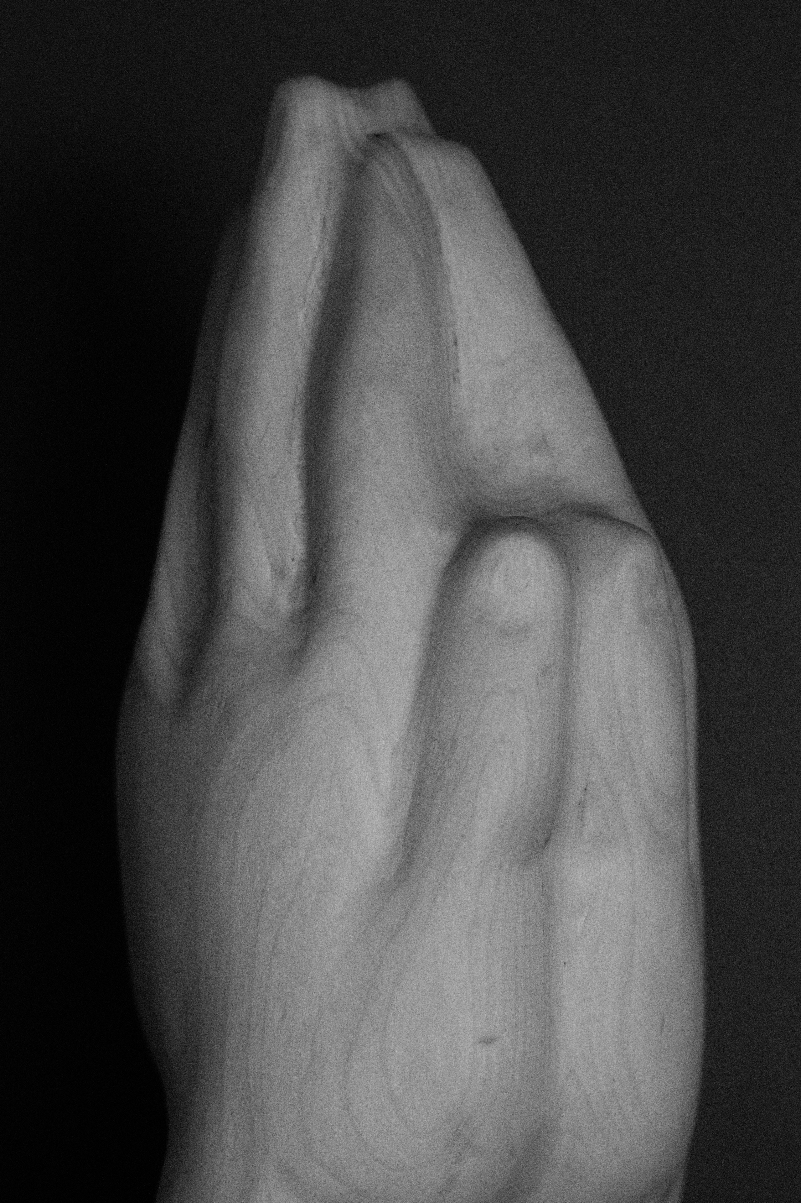 Прошу. Anna Vishnevskaya