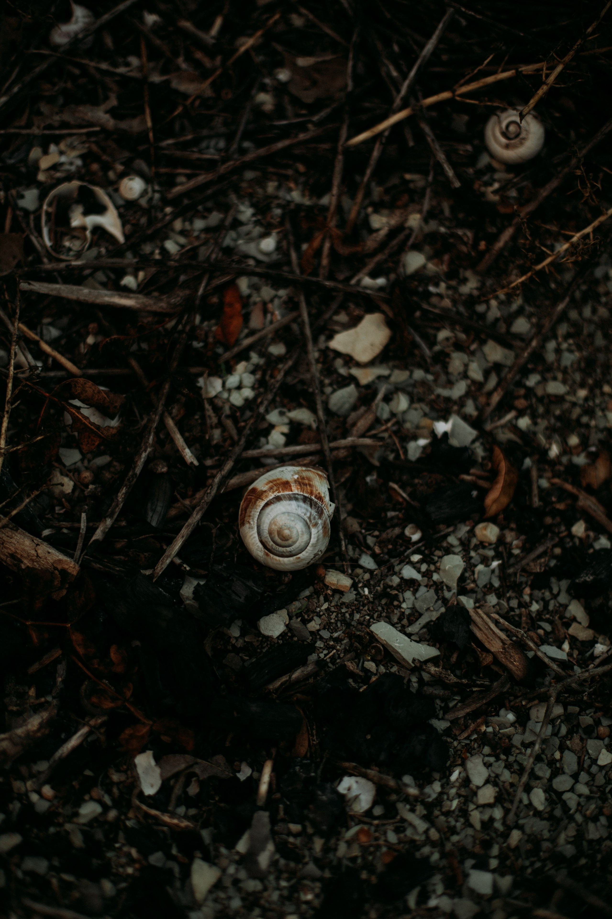 Дороги земли ветров. Портретный фотограф в Москве и Геленджике Кирилл Вахитов