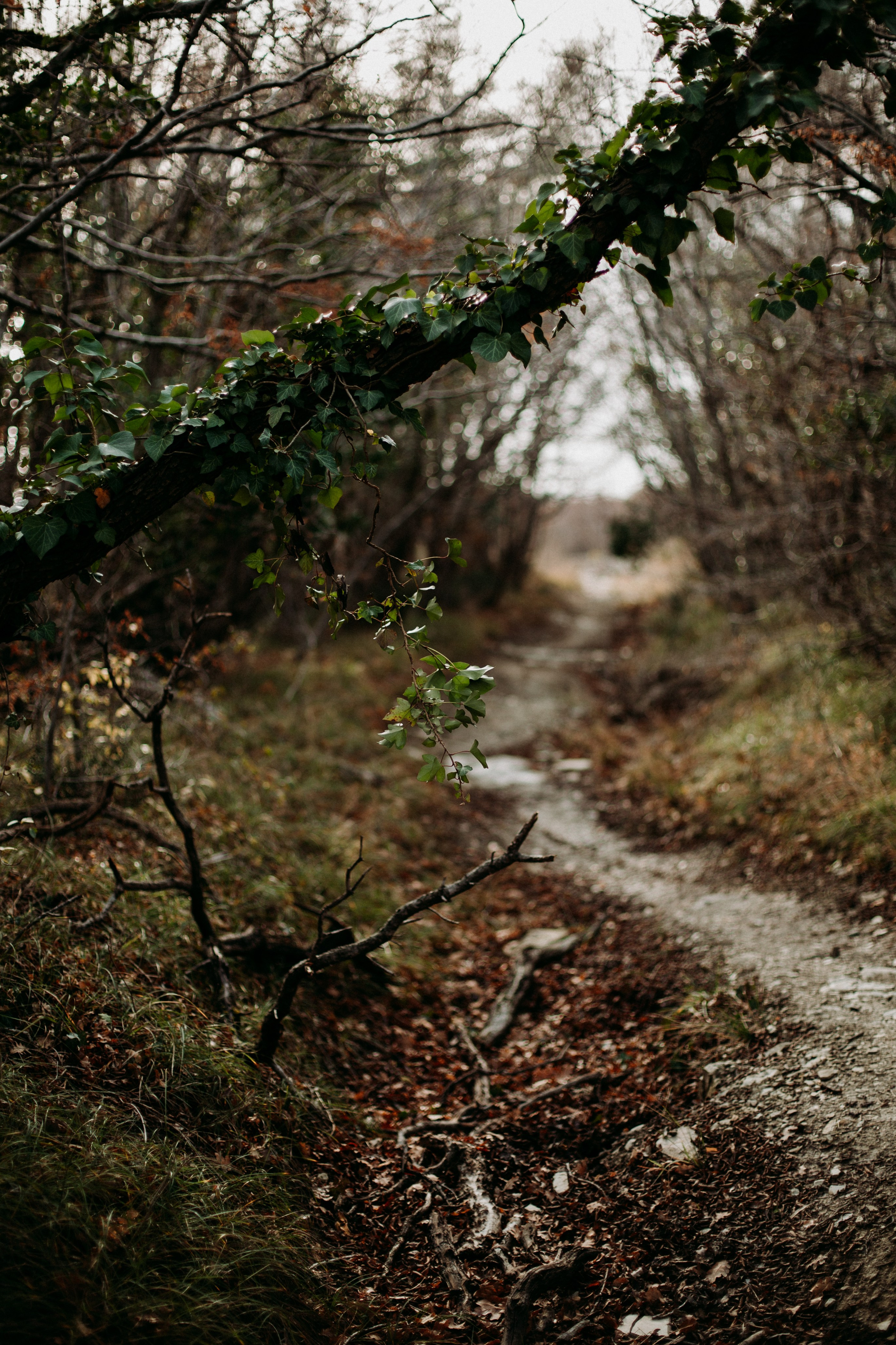 Дороги земли ветров. Портретный фотограф в Москве и Геленджике Кирилл Вахитов