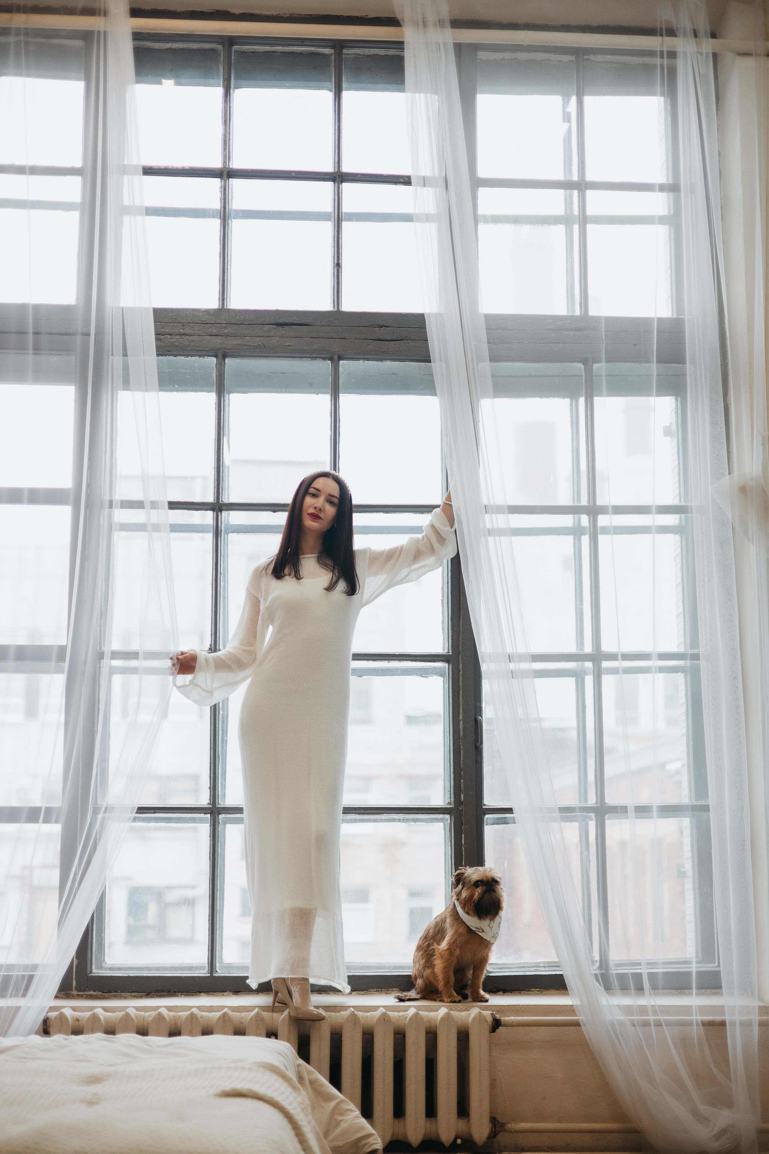 Тарифы и условия. Фотограф животных Евгения Верцинская