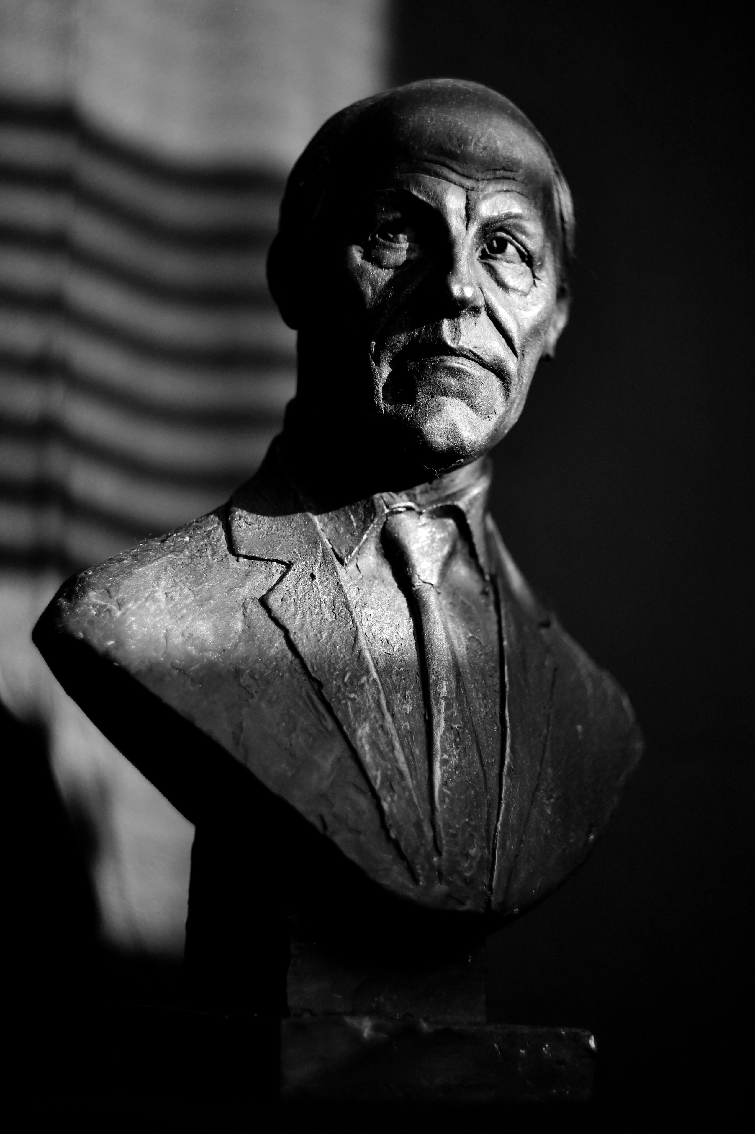 Микрокосмос. Памяти академика В. А. Рубакова. Фотографии Лены Соколовой