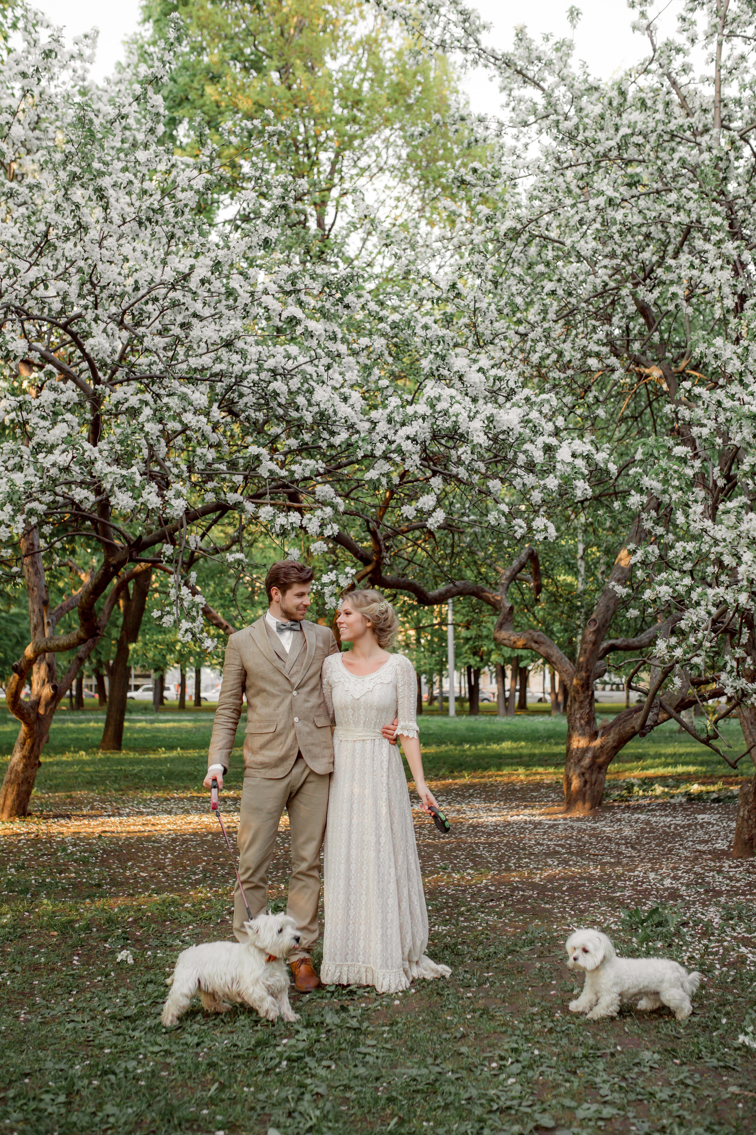 Услуги. Семейный фотограф в Москве Татьяна Болтиева