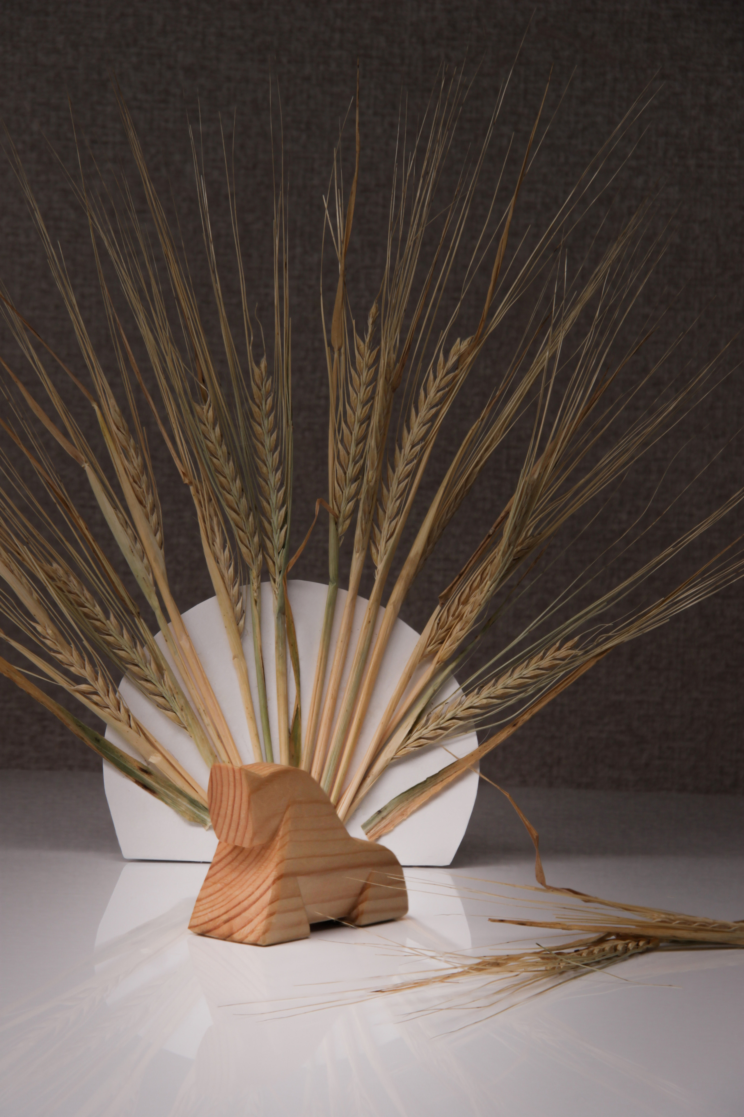 Цены на фотосессию в Перми. Предметный фотограф Перми Елена Яркова