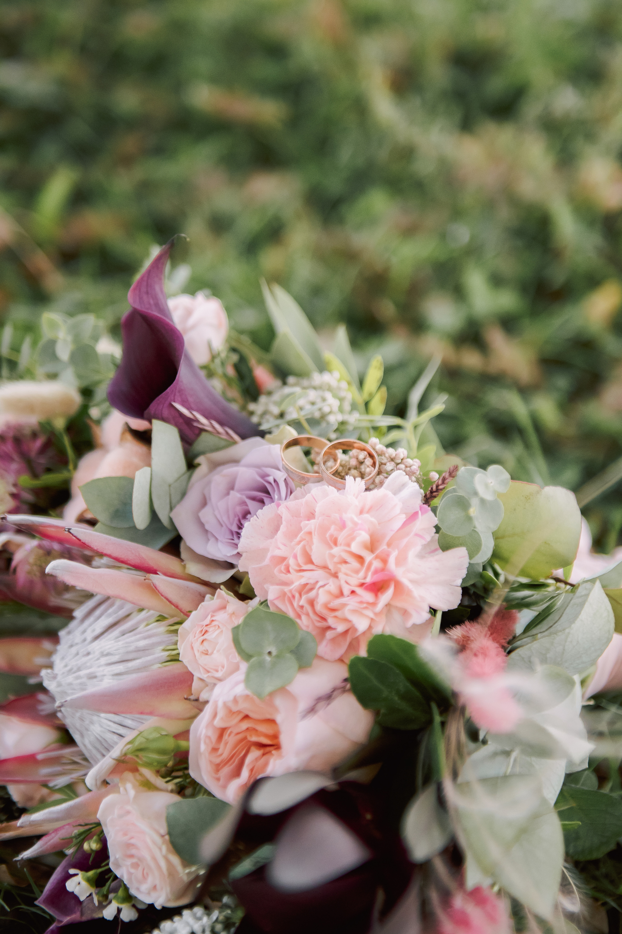 Свадебный фотограф Краснодар, Абинск, Анапа и Краснодарский край Алекс