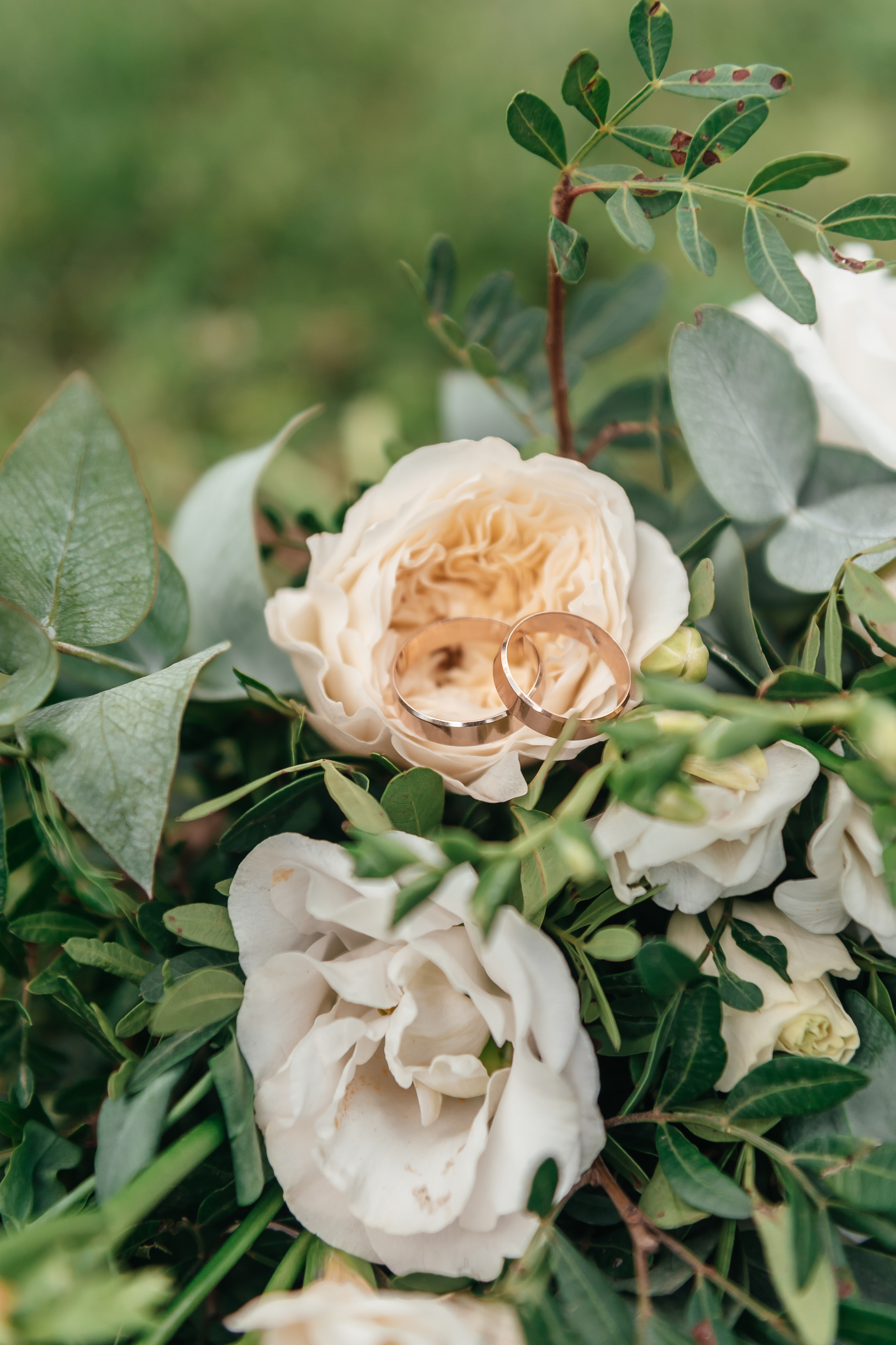 Свадебный фотограф Краснодар, Абинск, Анапа и Краснодарский край Алекс