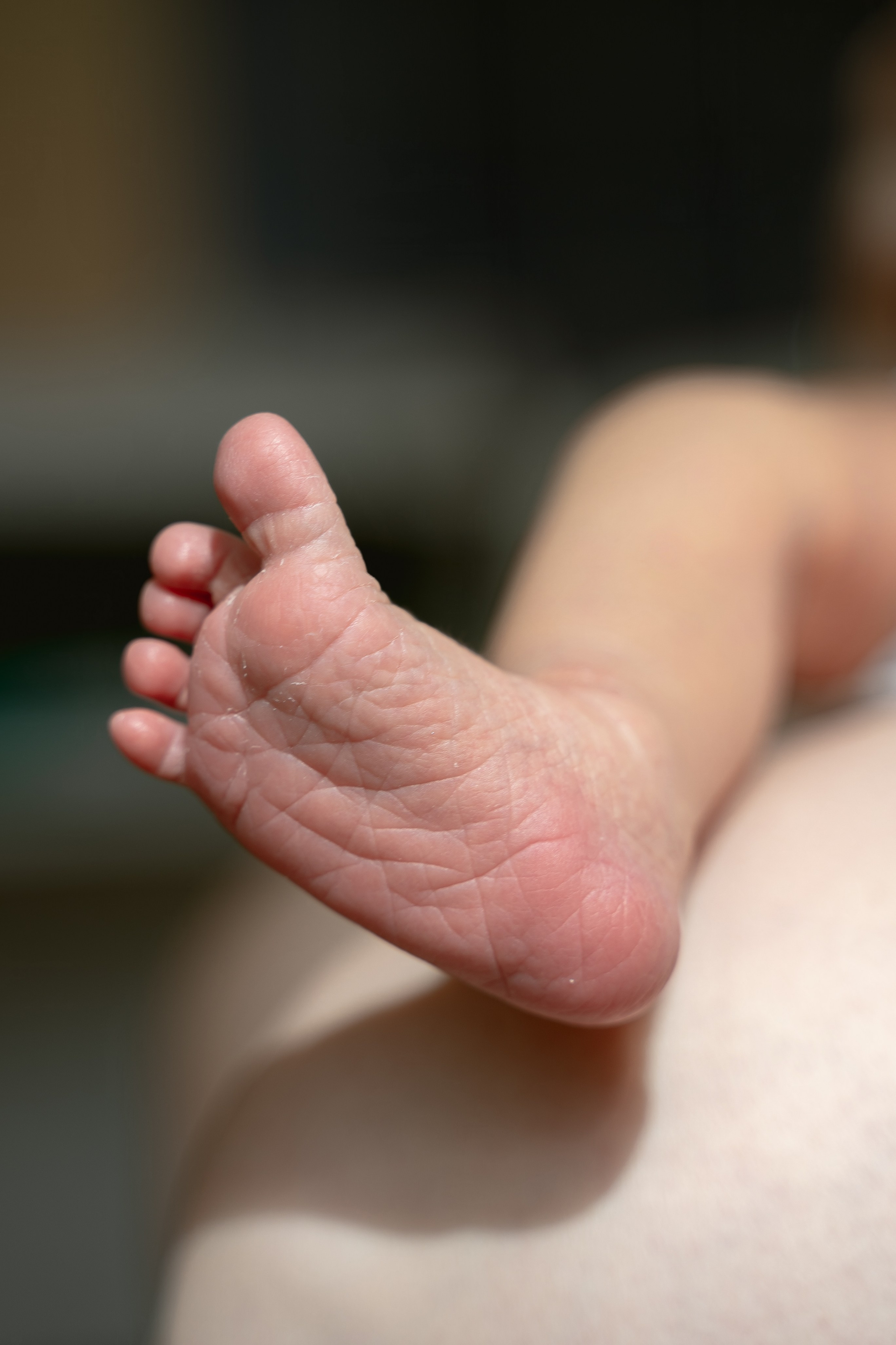 Prodolzhenie-roda-marahovskaya. Фотографы на роды в Москве. Фото и видео родов. Фотопроект «Продолжение рода»