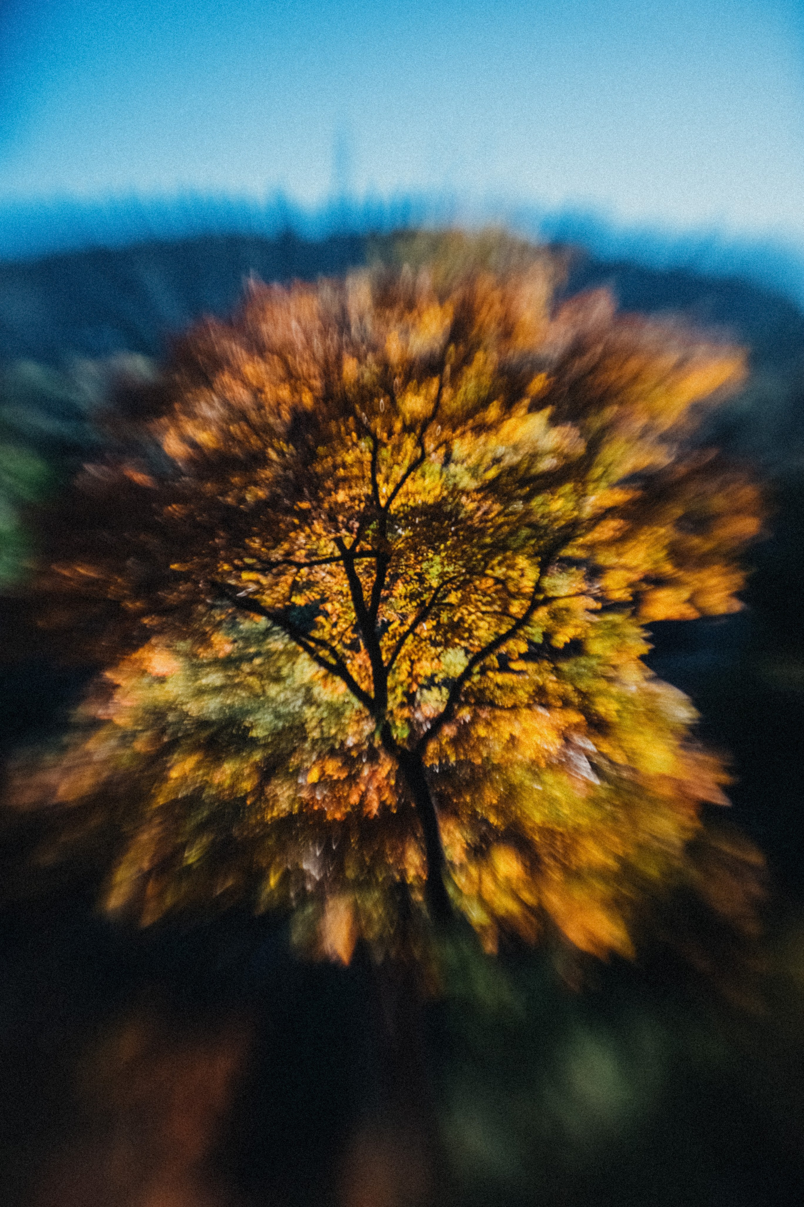 Принты/Дневники. Andrew Sozonov visual artist