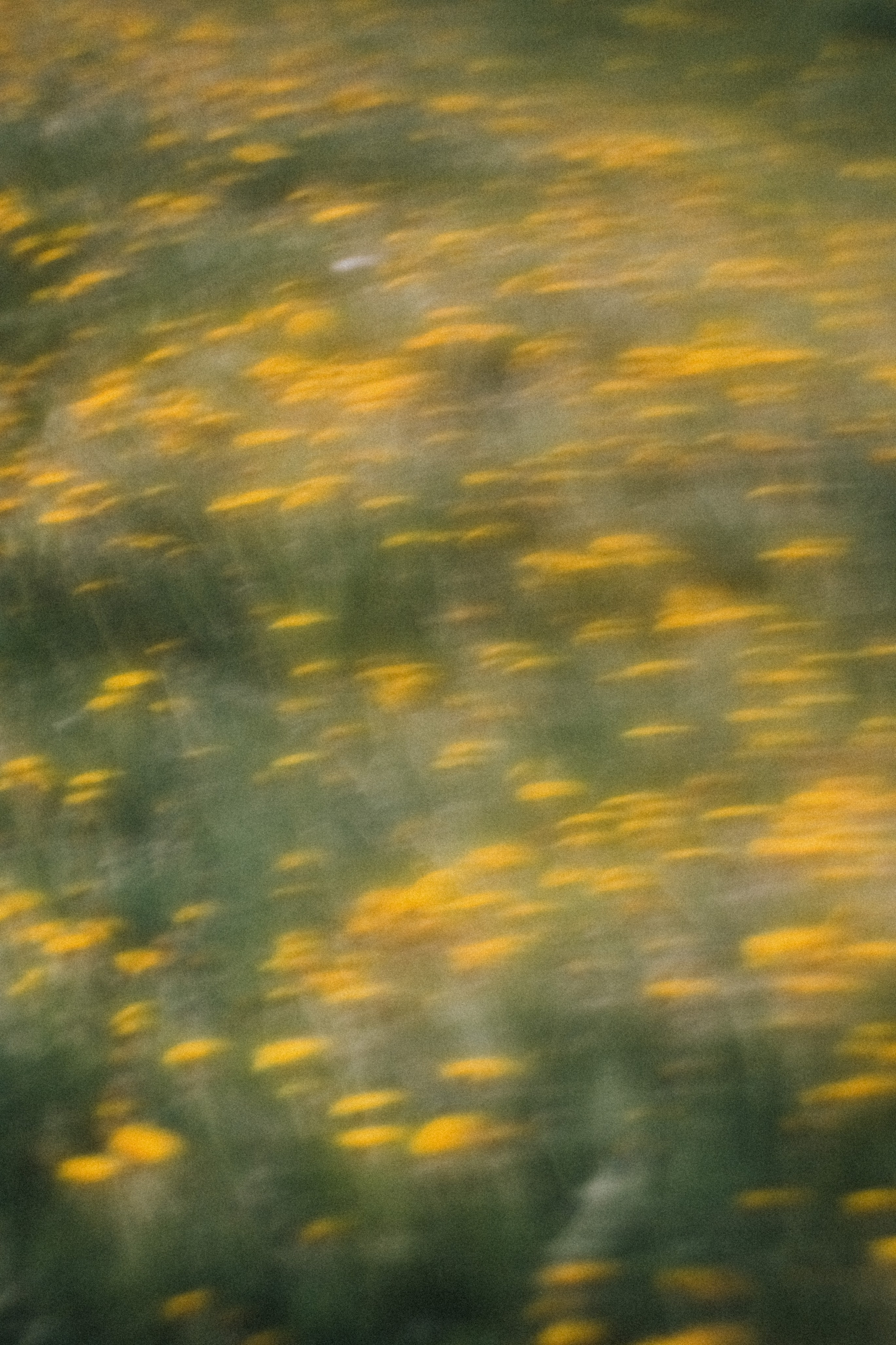 Принты/Дневники. Andrew Sozonov visual artist