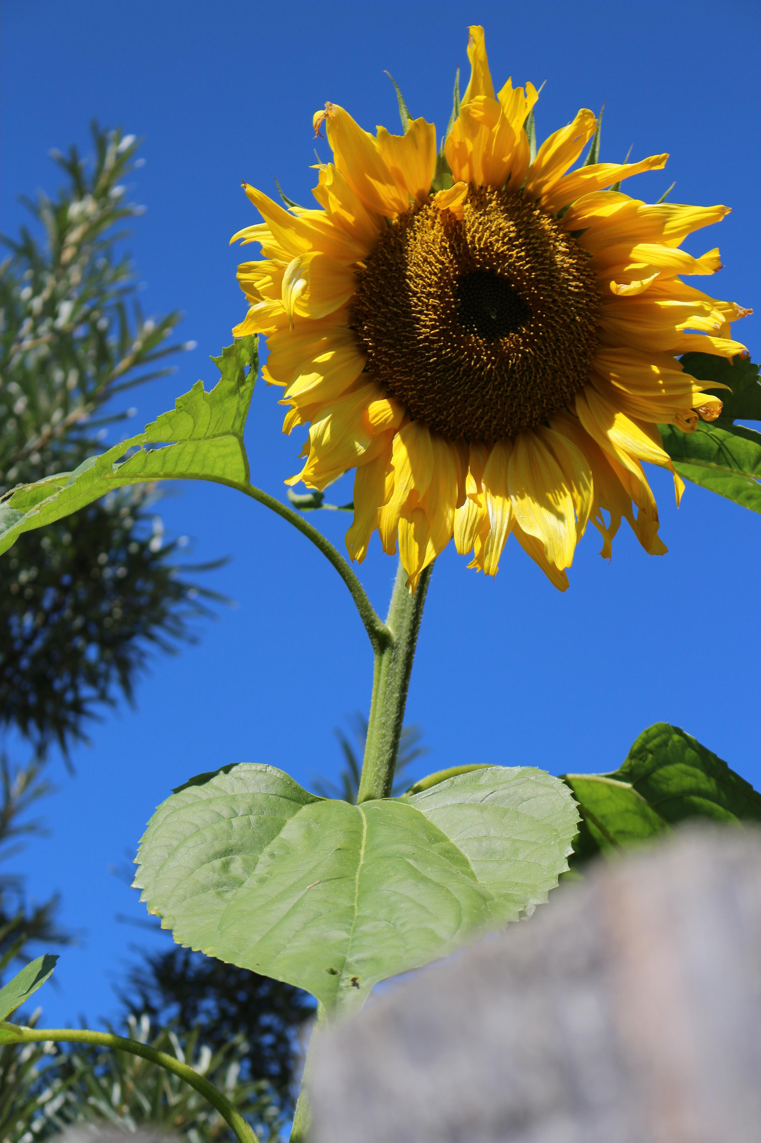 Моя история. Креативный фотограф в Екатеринбурге Юлия Николотова