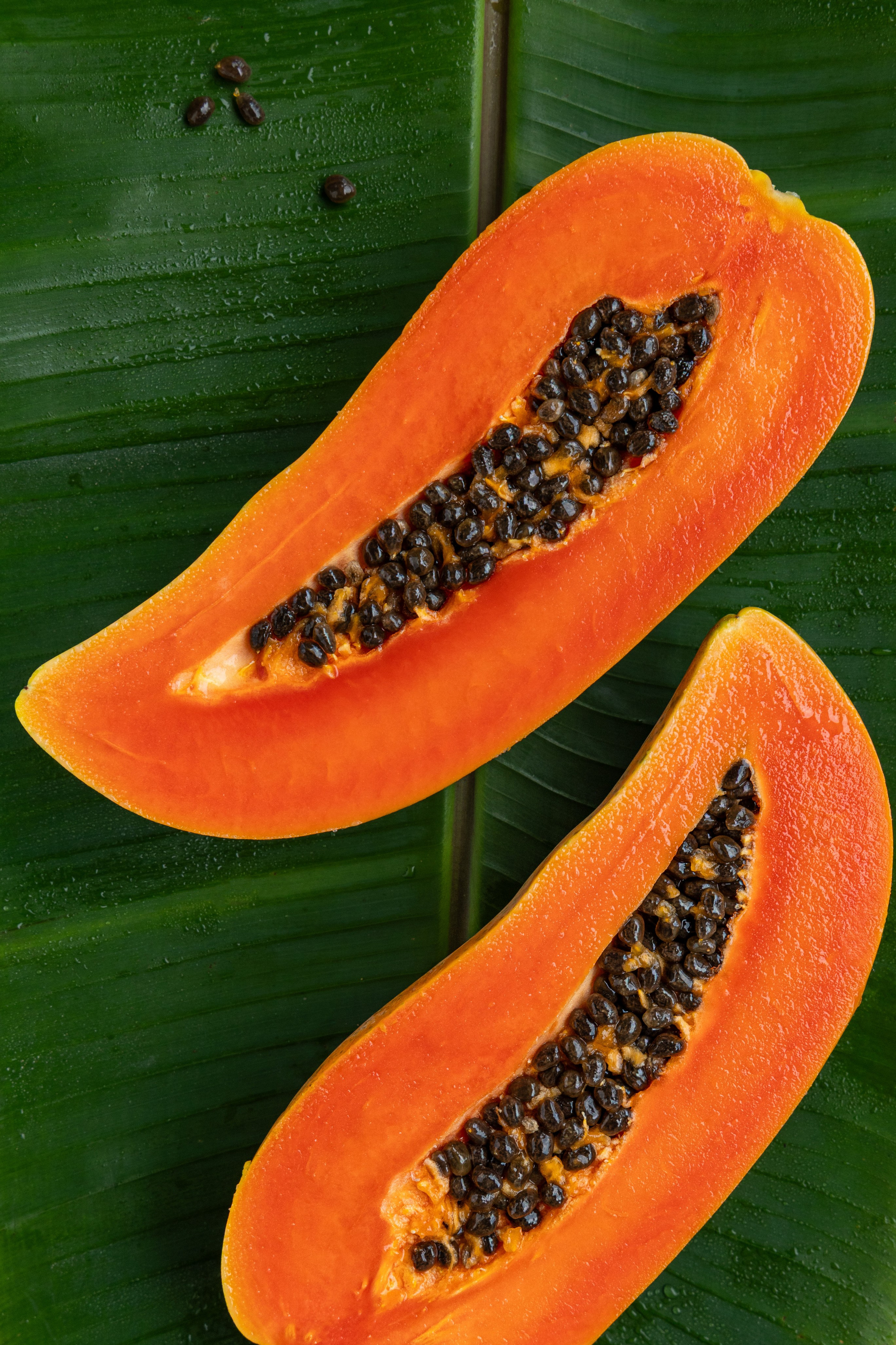 Обучение фуд и предметной съемке